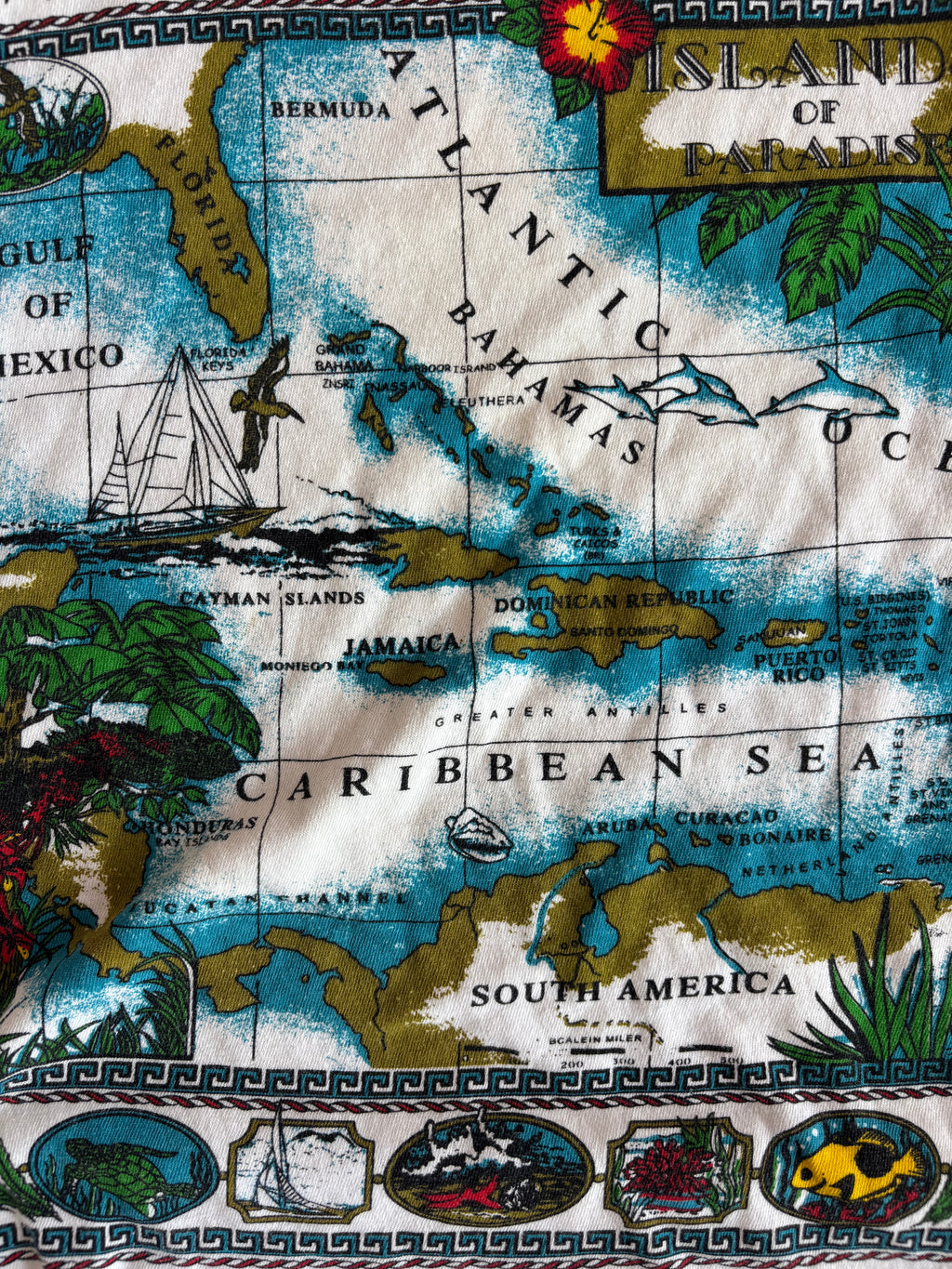 Caribbeants tee