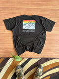 Patagonia tee