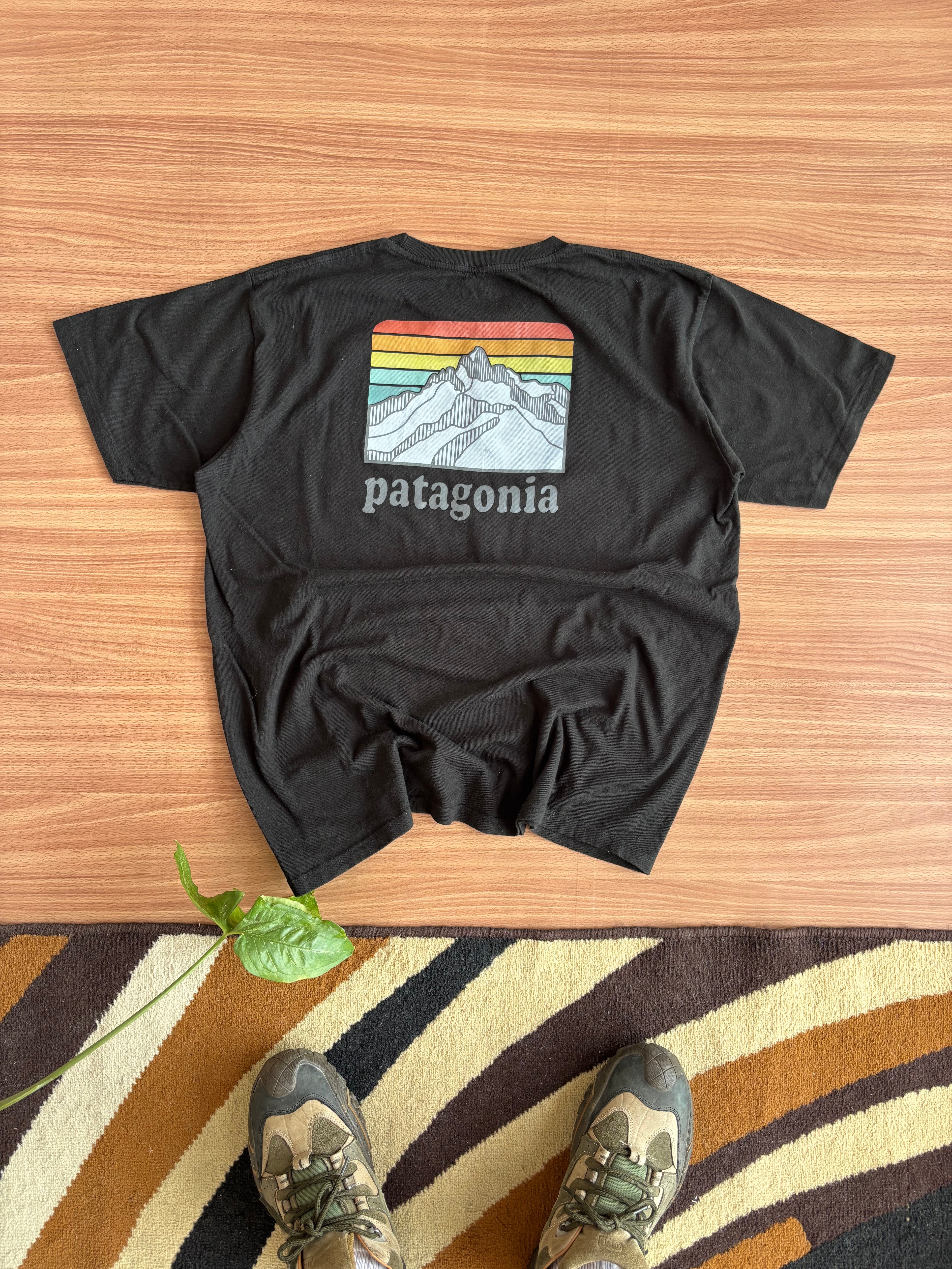 Patagonia tee