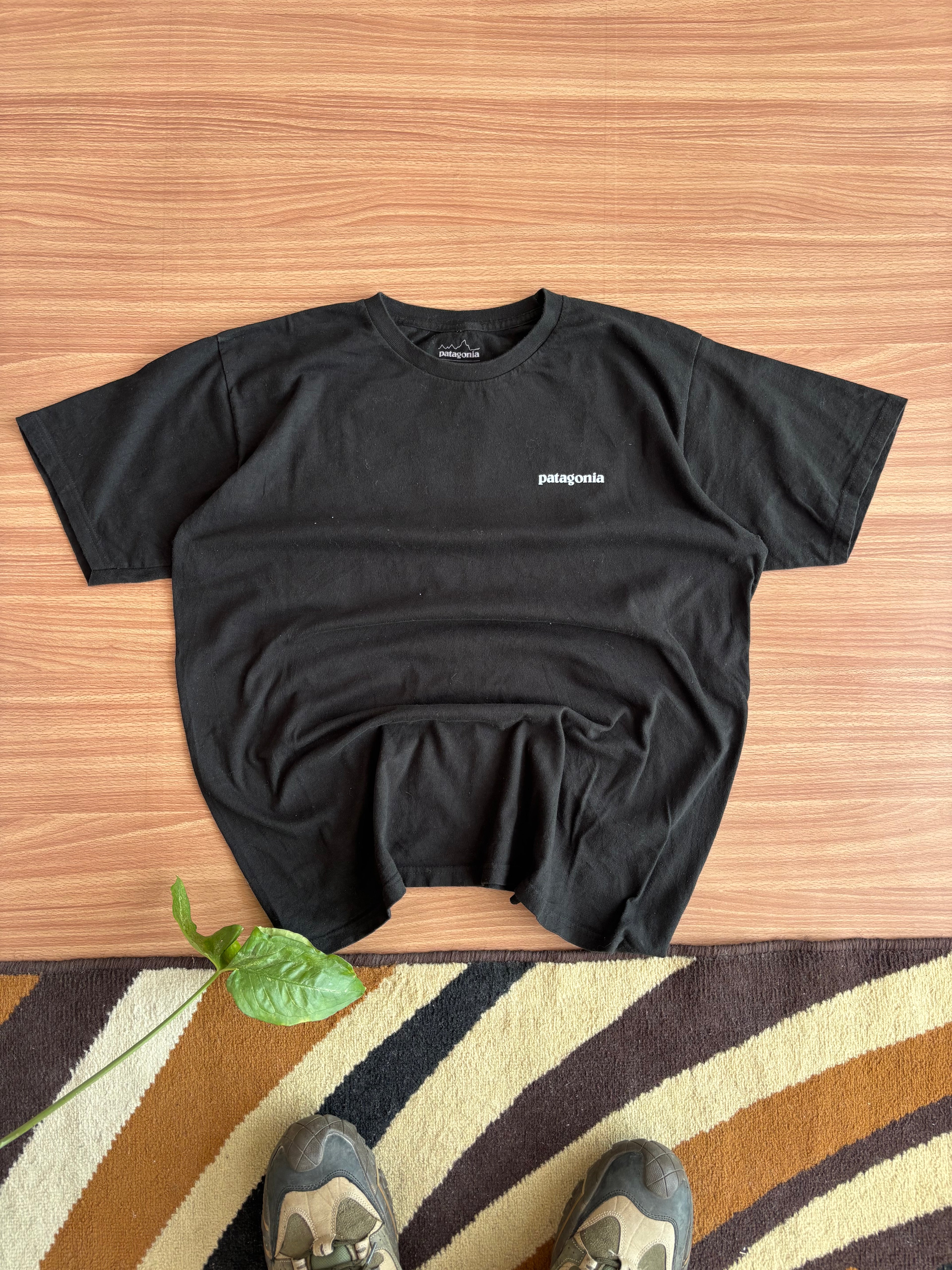 Patagonia tee