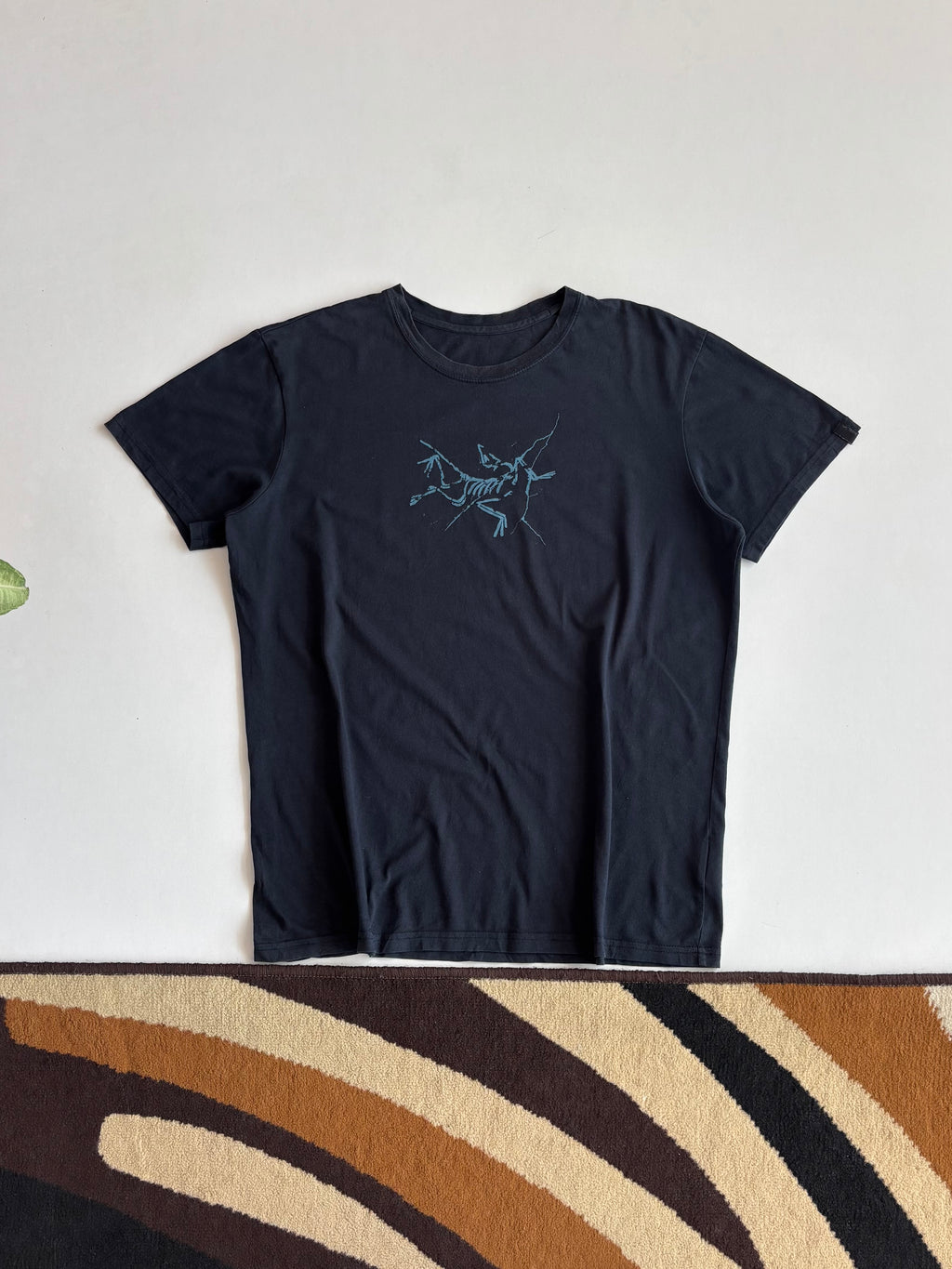 Arcteryx tee (M&L)