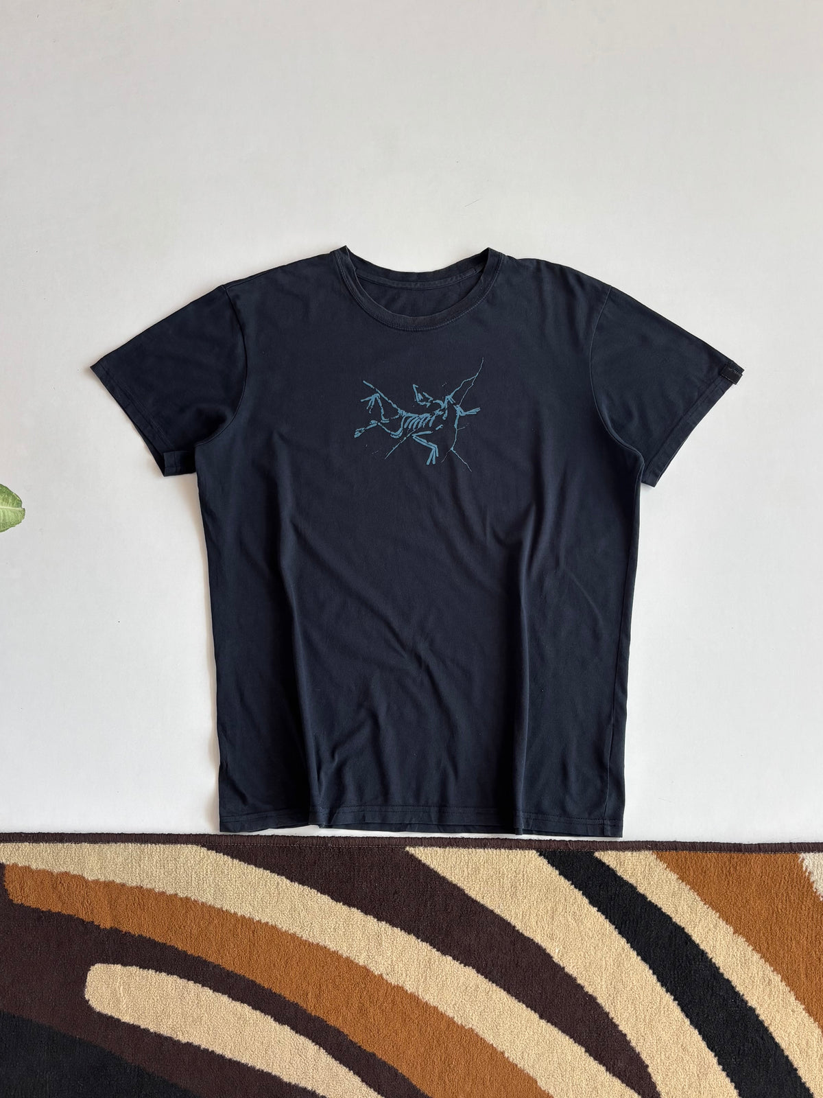 Arcteryx tee (M&L)