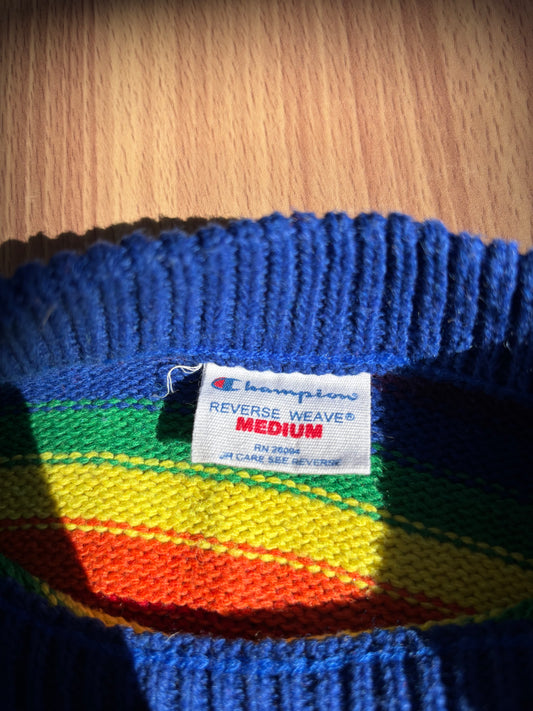 Champion reverse weave sweater