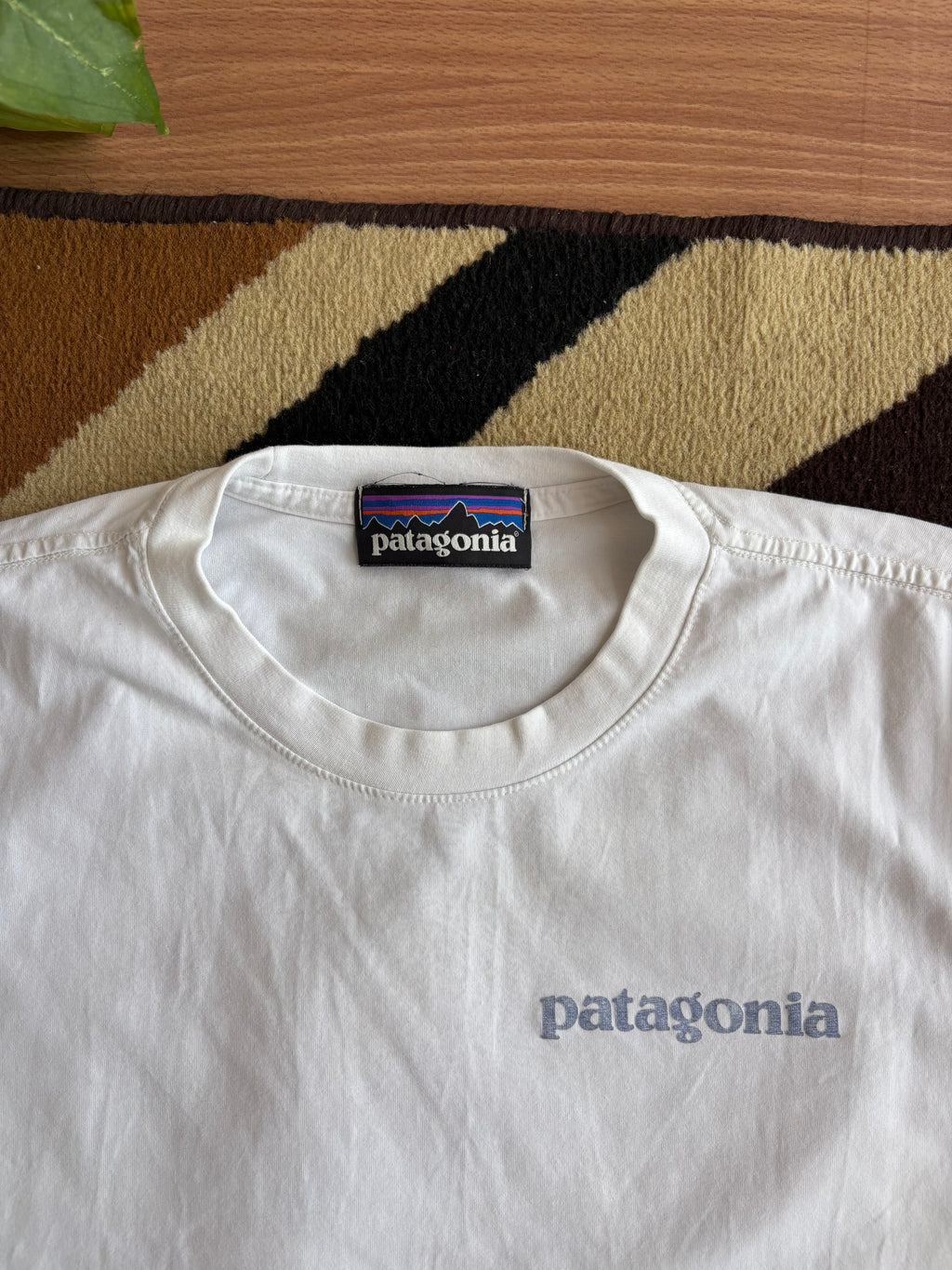 Patagonia waves tee