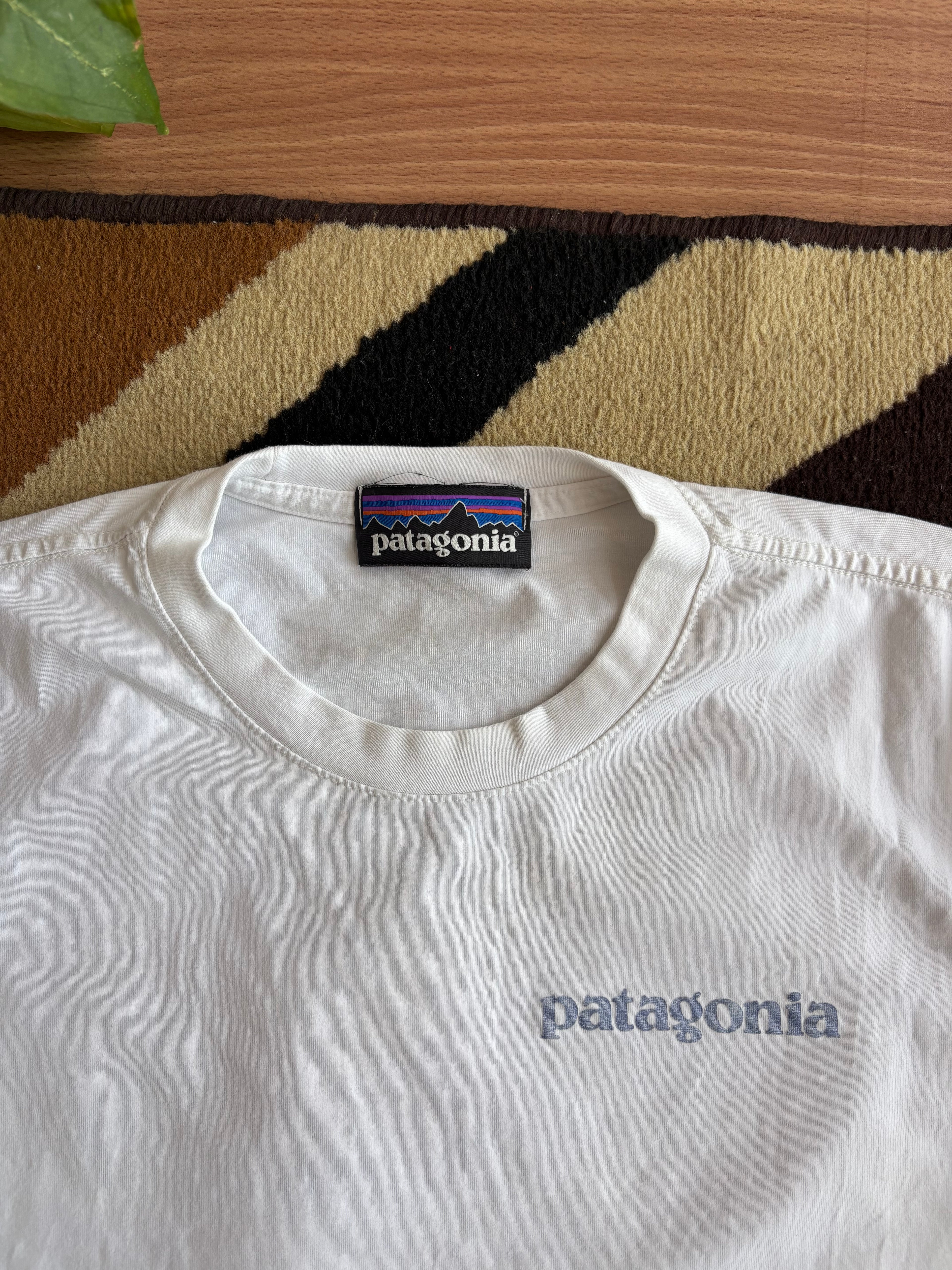 Patagonia waves tee