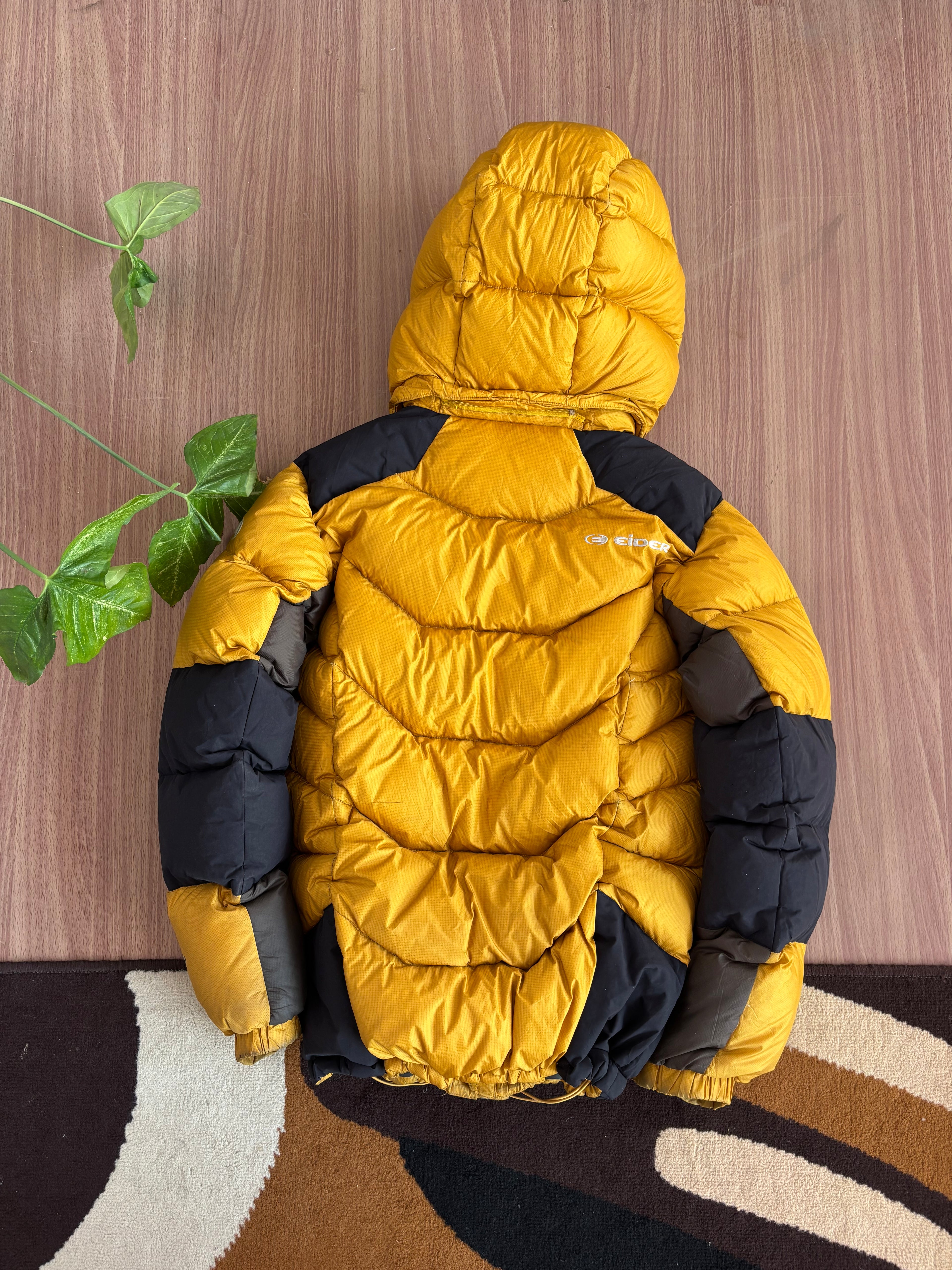 Eider Goose down puffer