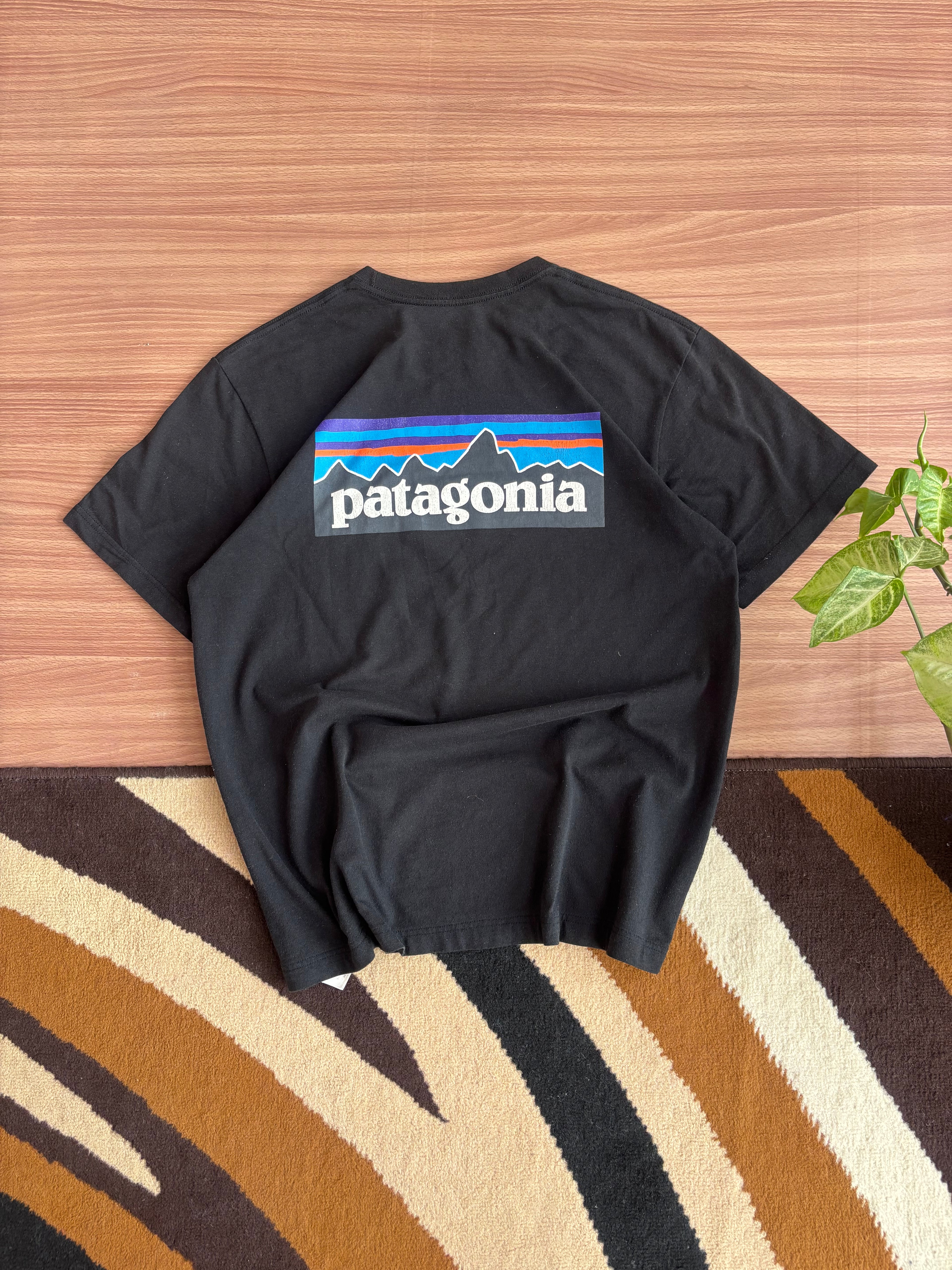 Patagonia tee (M)