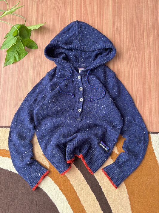 patagonia hoodie