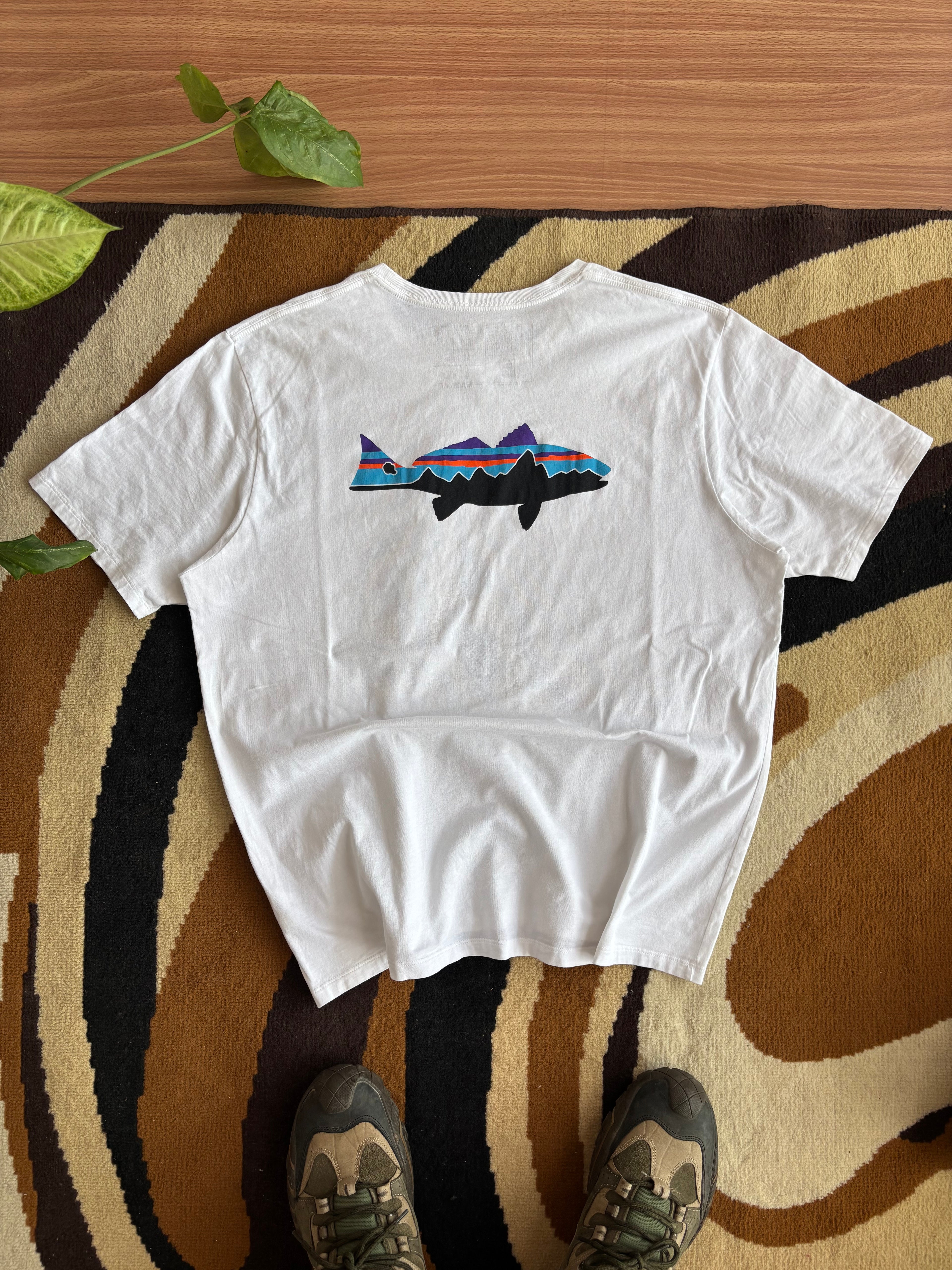 Patagonia tee