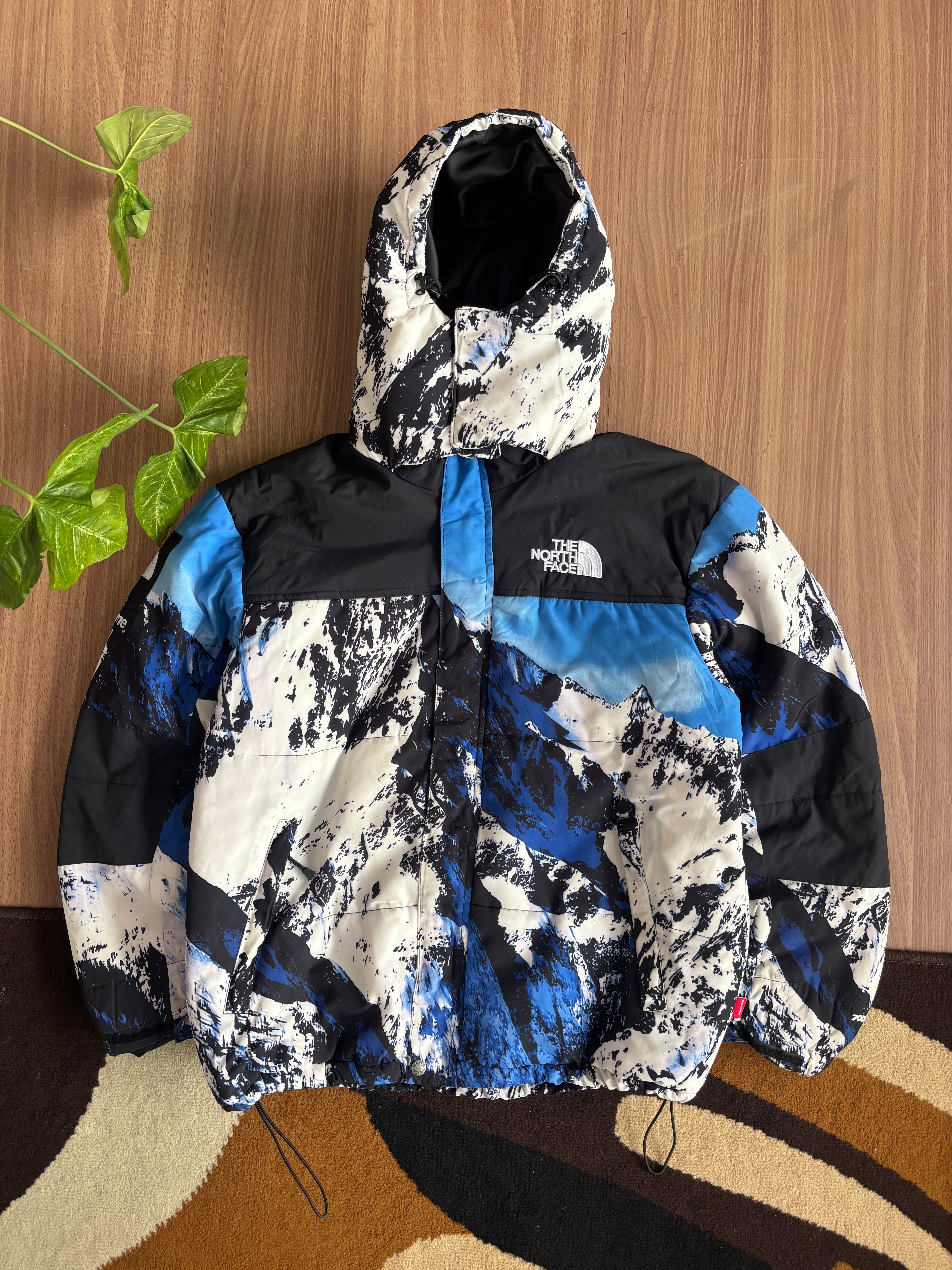 TNF X Supreme 700 puffer