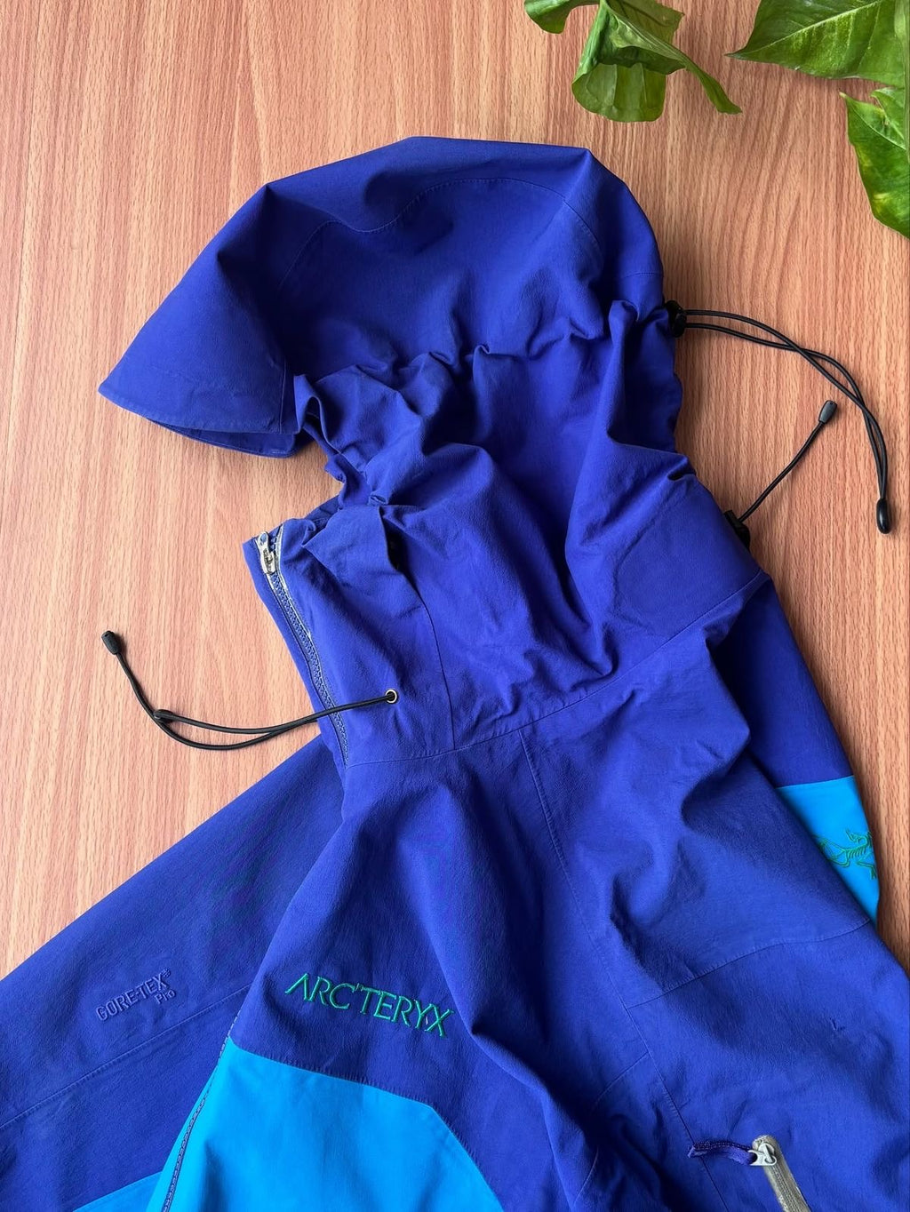 Vintage Arcteryx