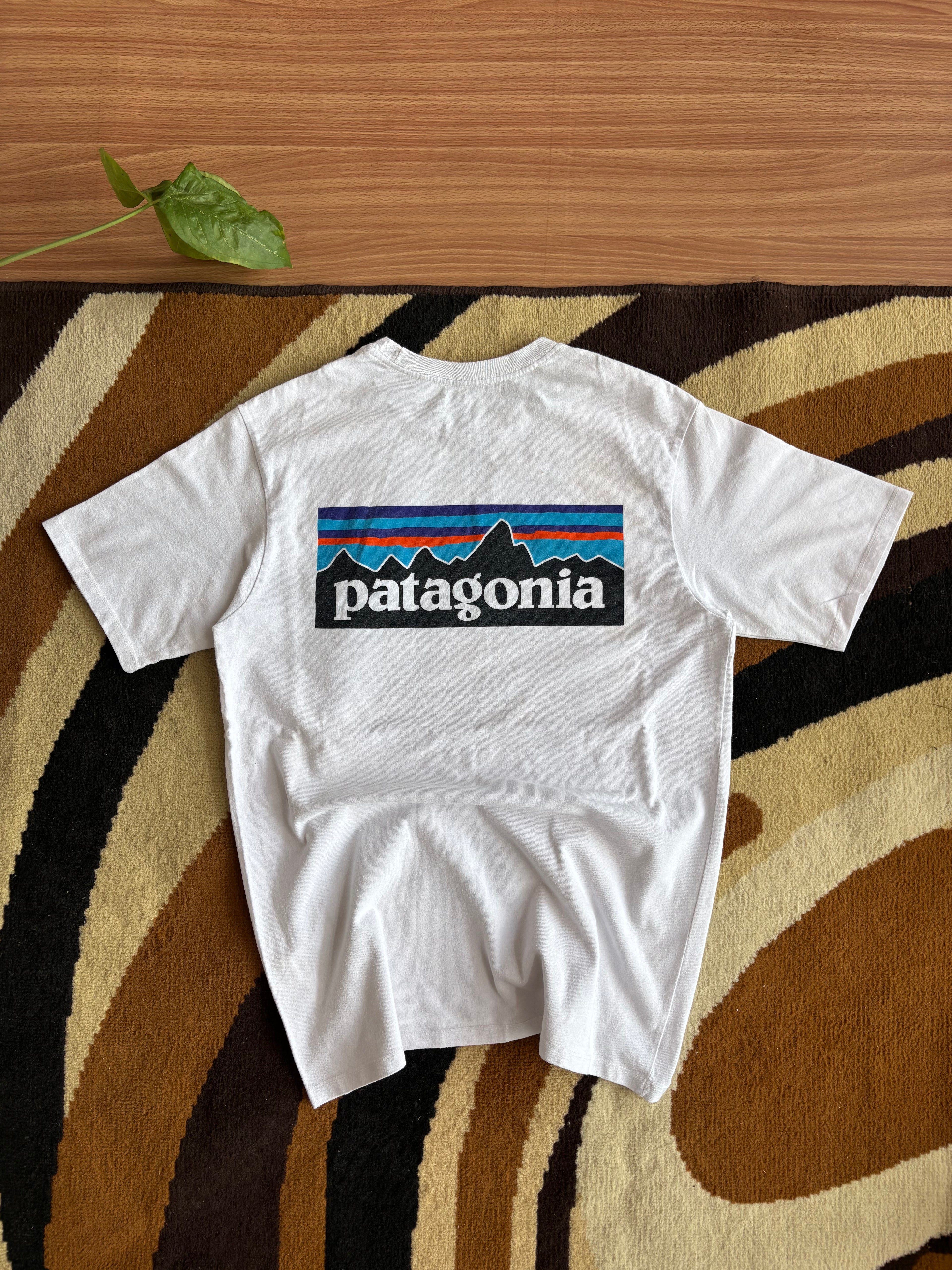 Patagonia tee