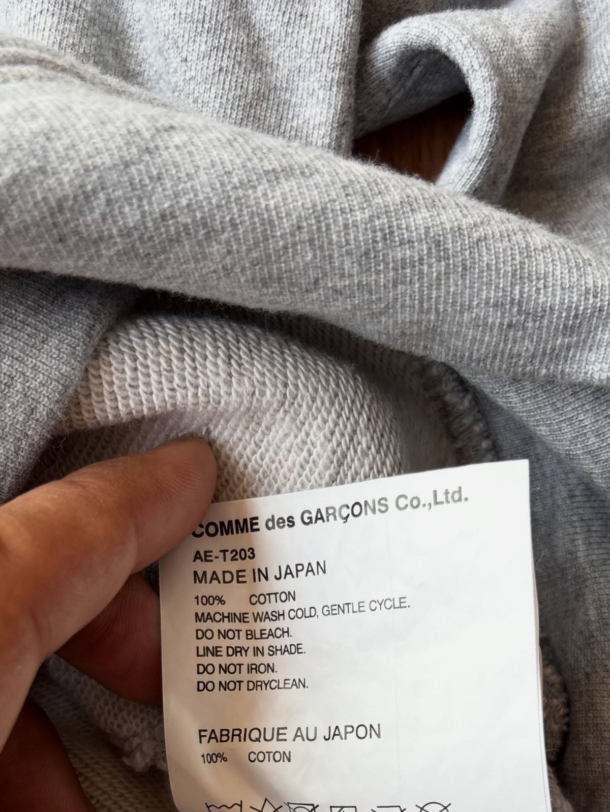TNF x CDG authentic hoodie
