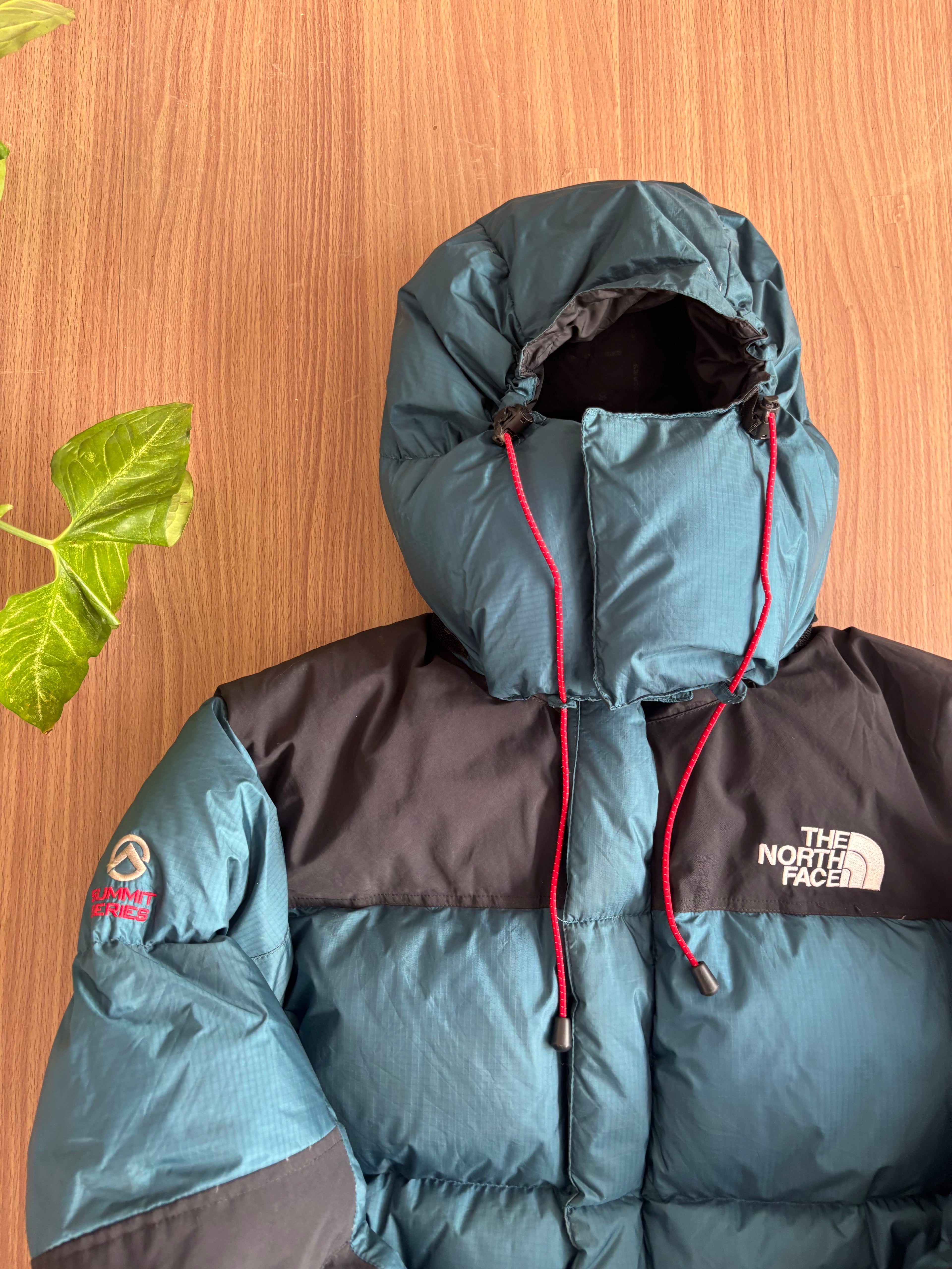 the north face summit series baltoro 700 down jacket (M)