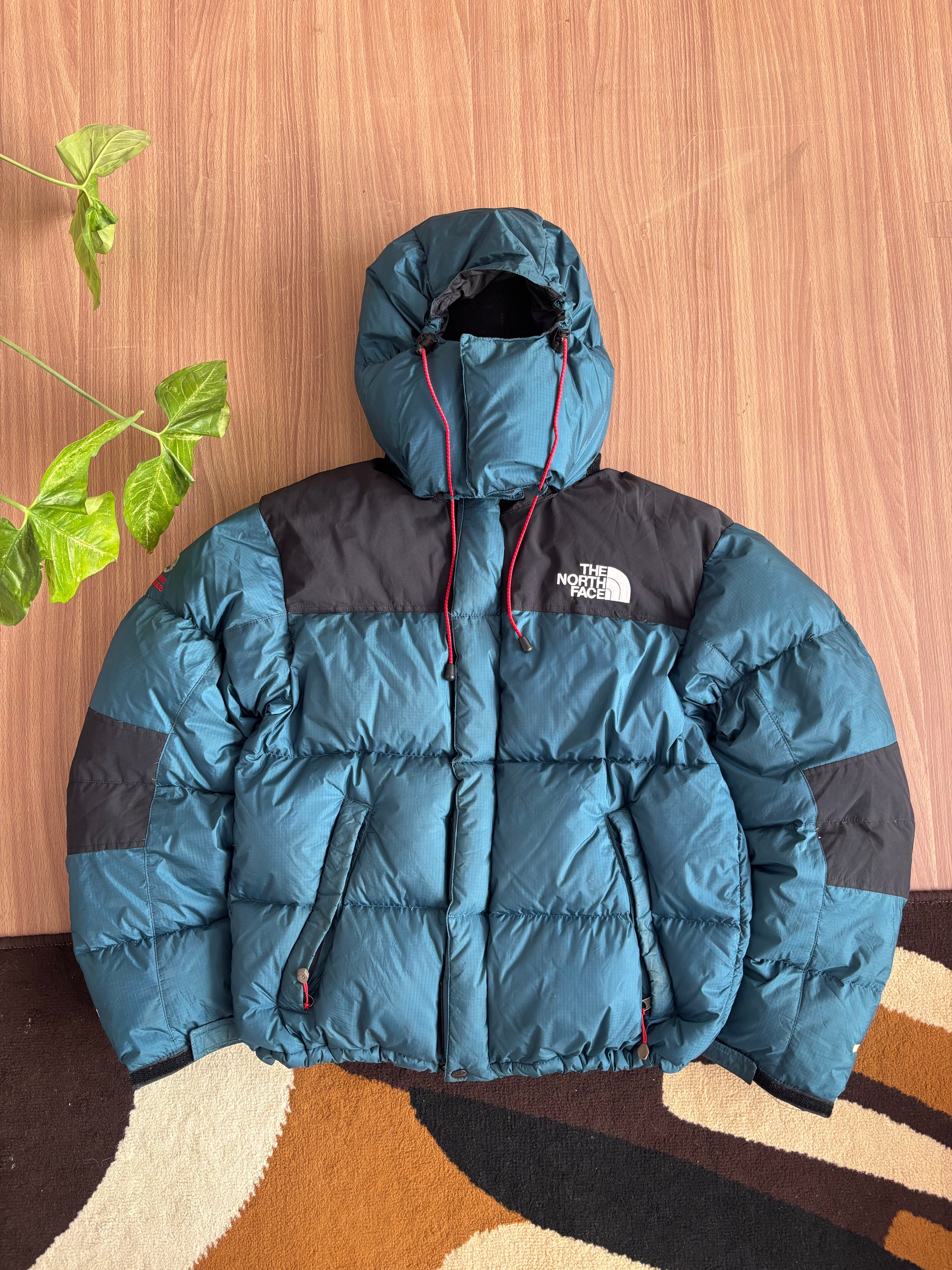 the north face summit series baltoro 700 down jacket (M)