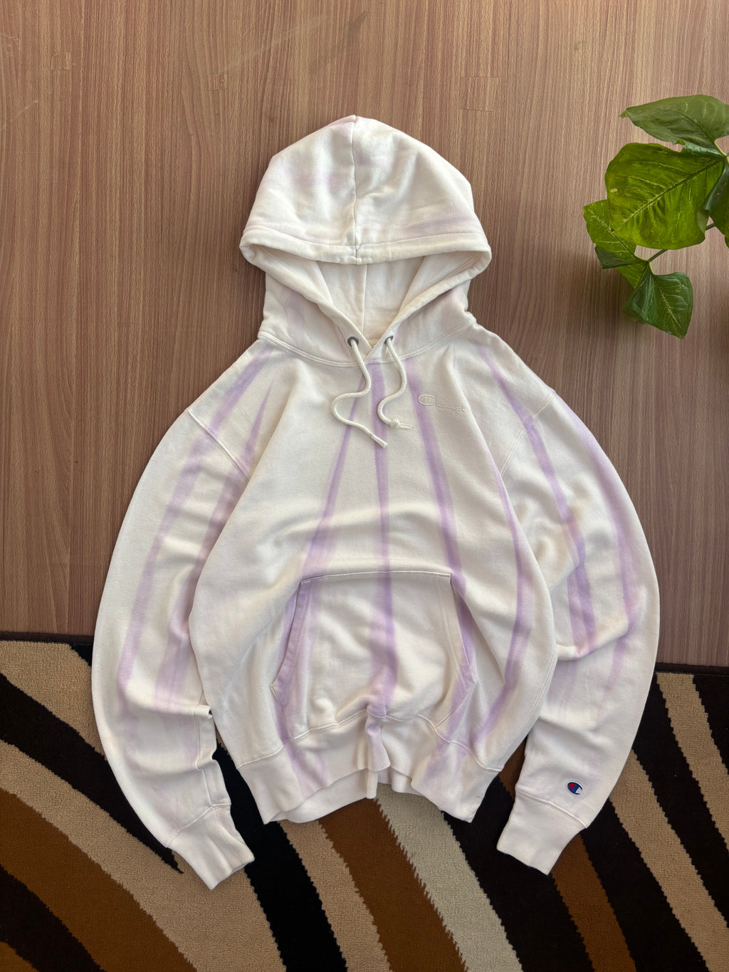 Champion hoodie (M)