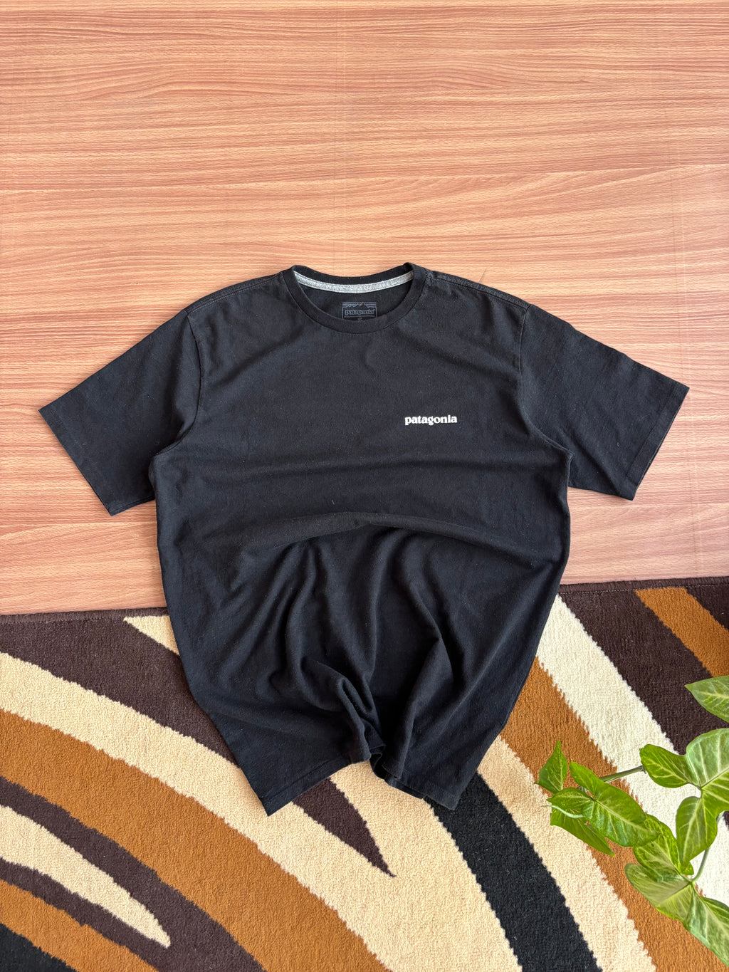 patagonia tee (M)