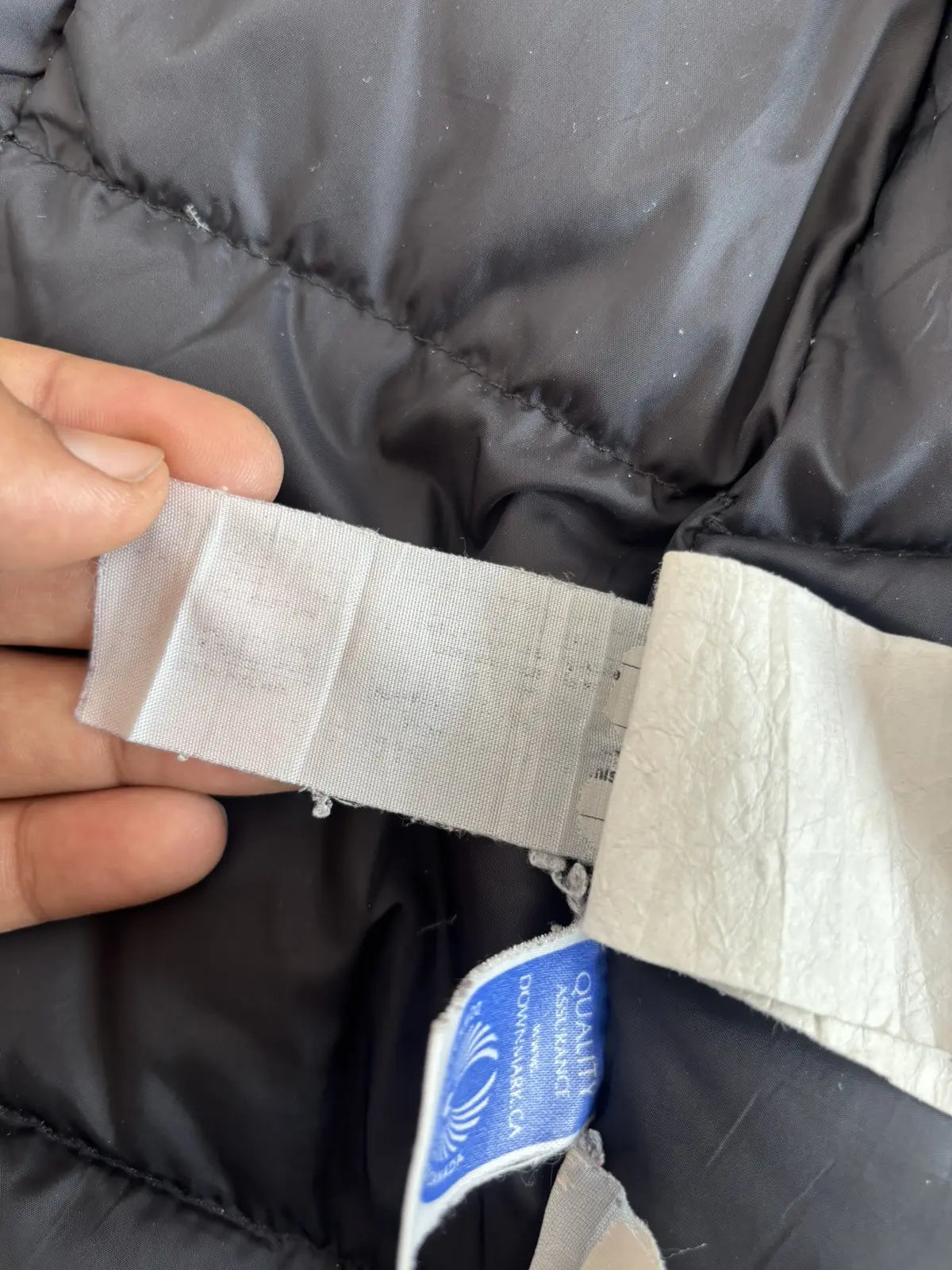 Canada Goose Kensington Parka Graphite