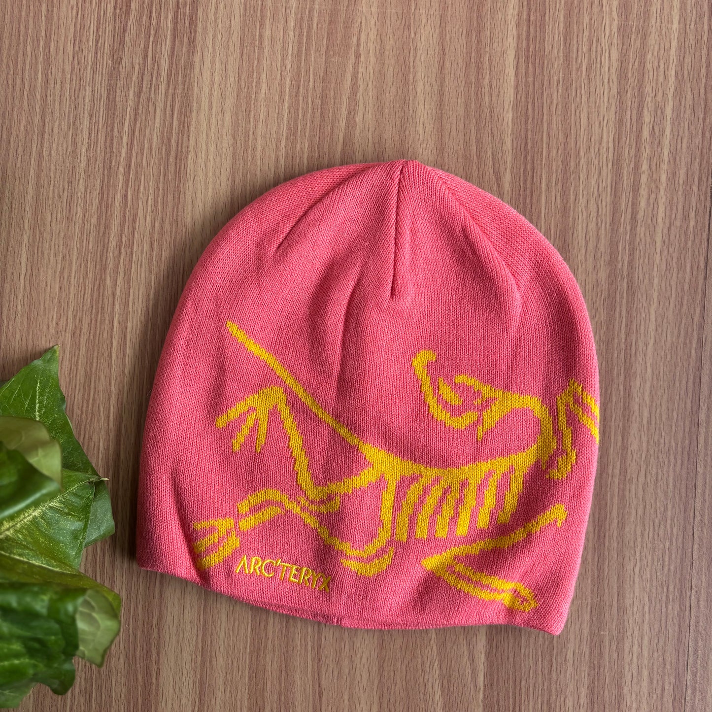 Arcteryx Toque beanies