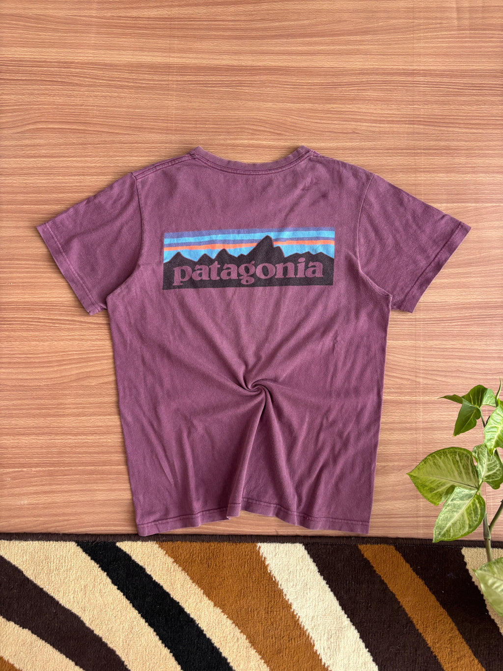 Patagonia Tee (s)