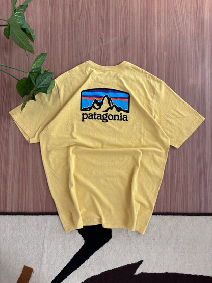 Patagonia tee
