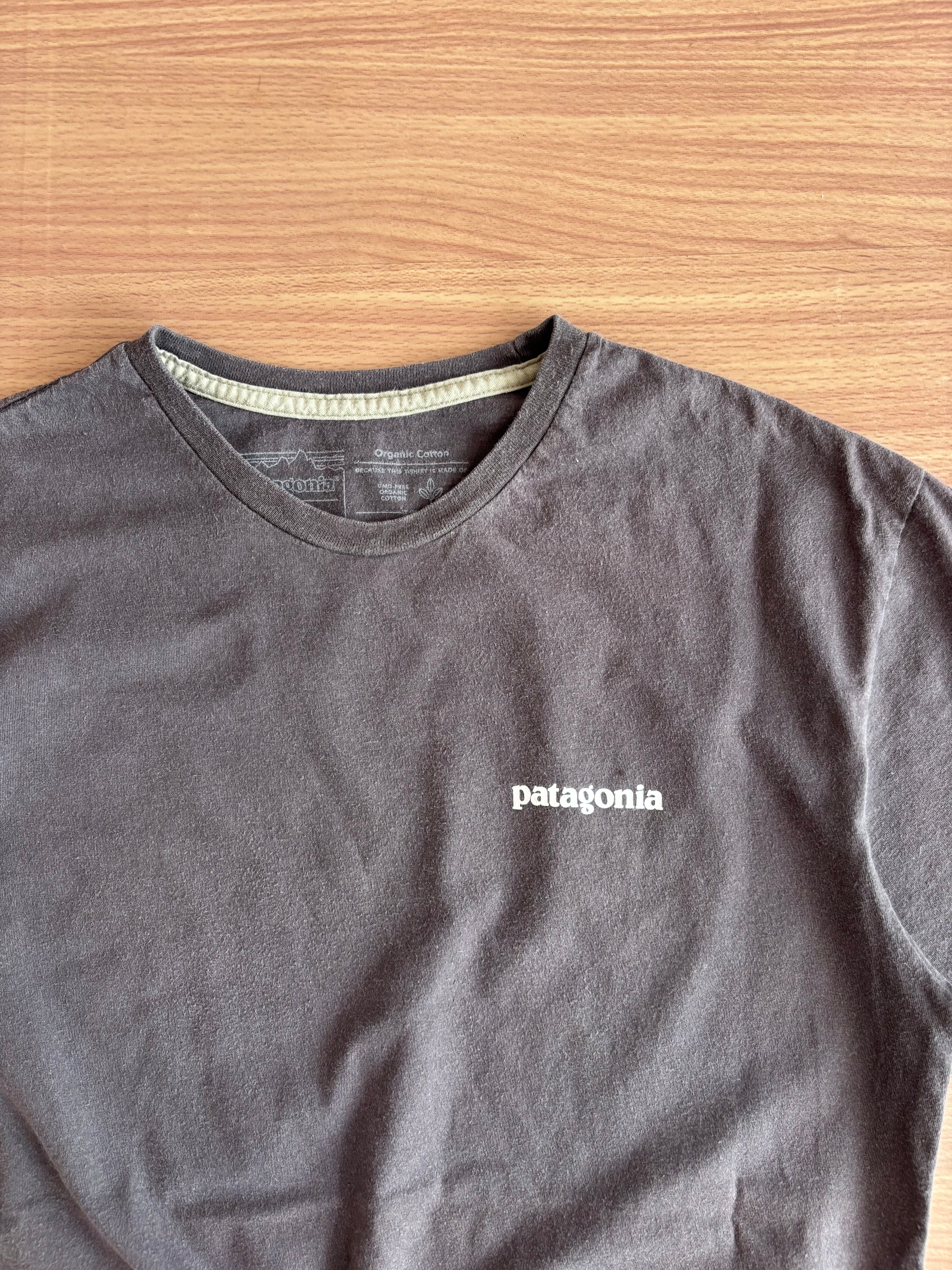 Patagonia tee