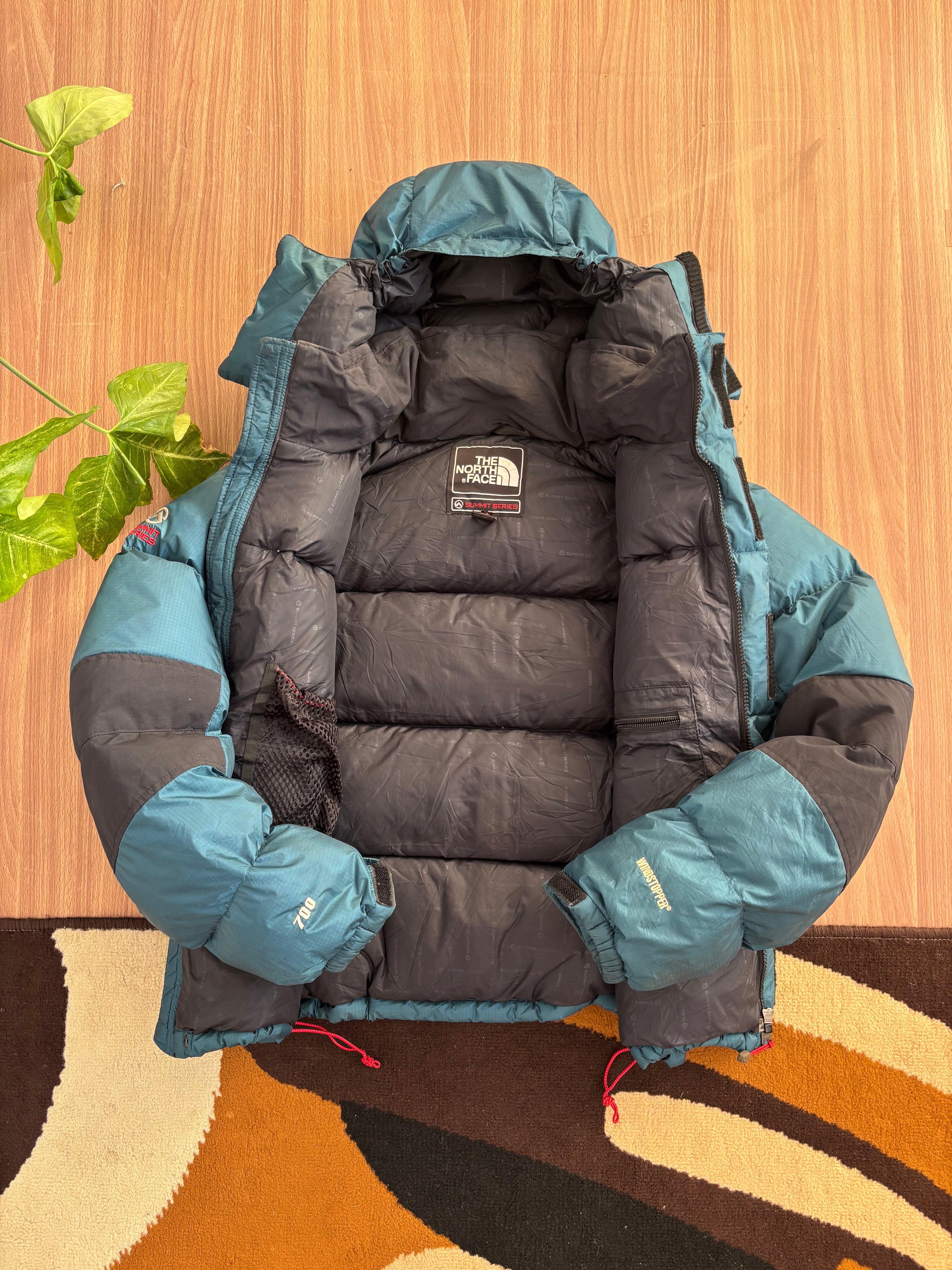 TNF 700 puffer Goose down windstopper