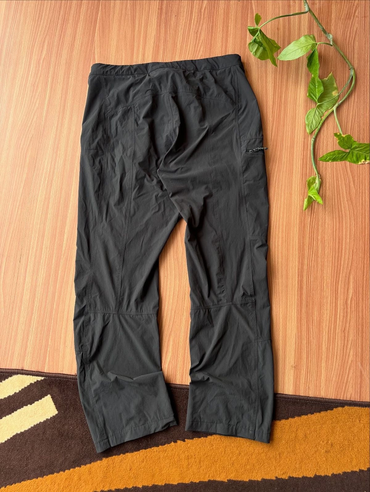 Arcteryx pants