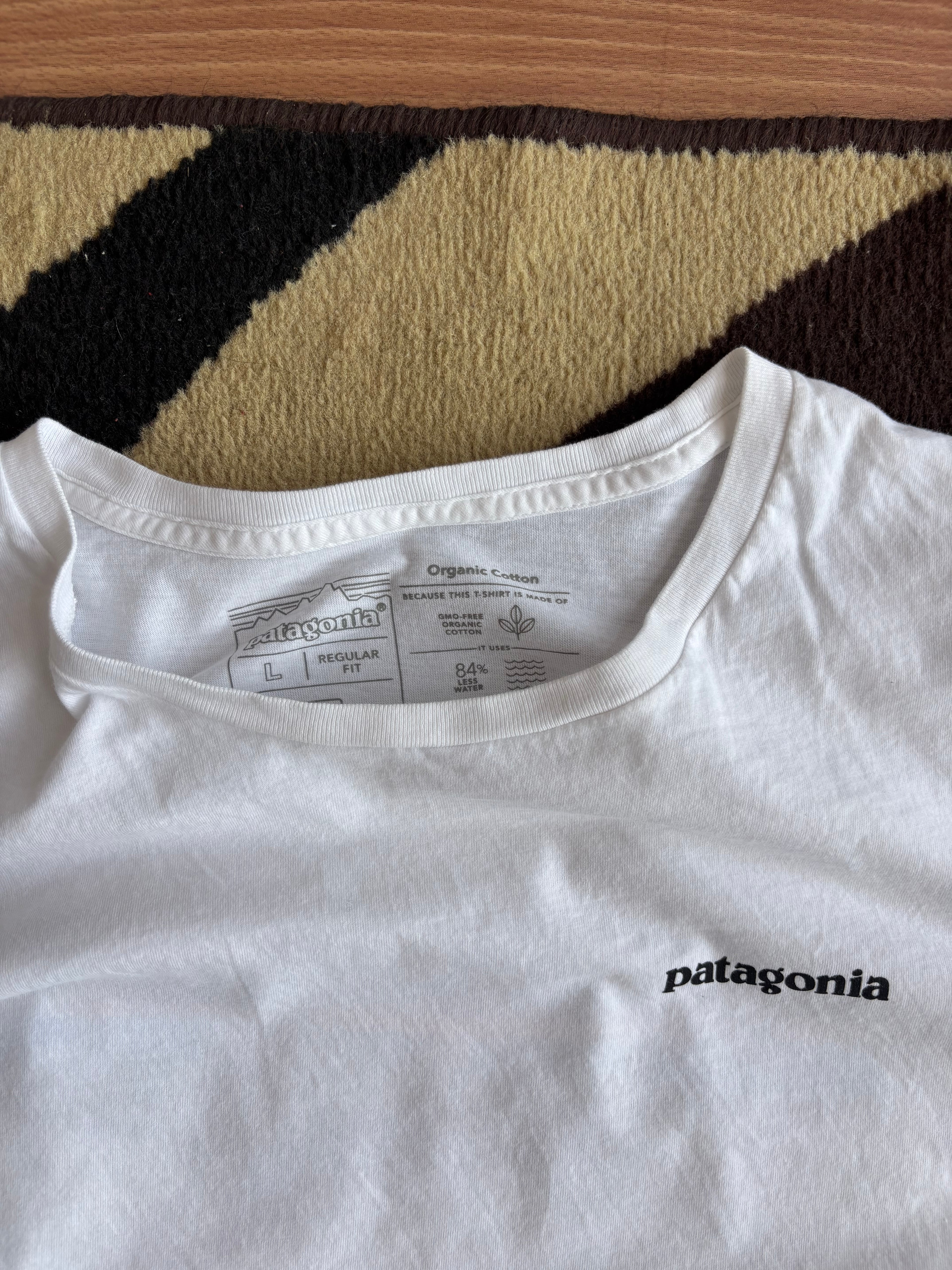 Patagonia tee