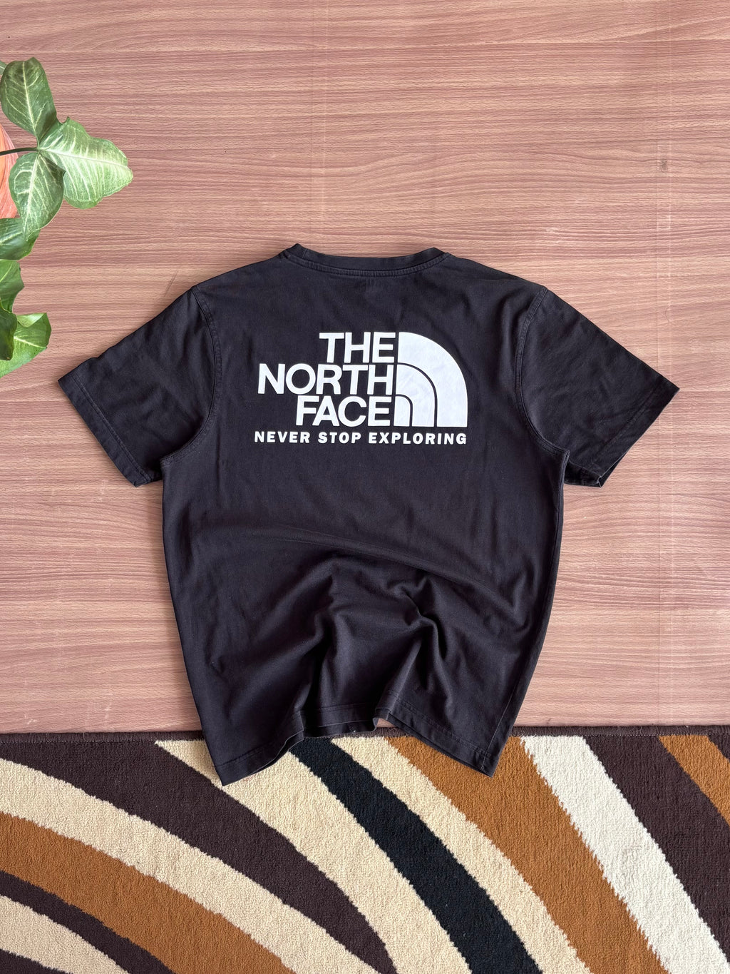 The North Face Tee (M)