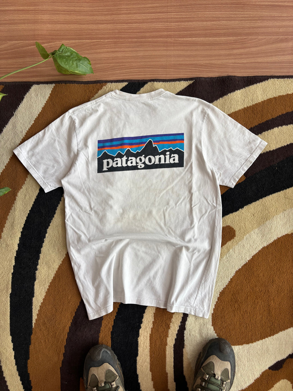 Patagonia tee