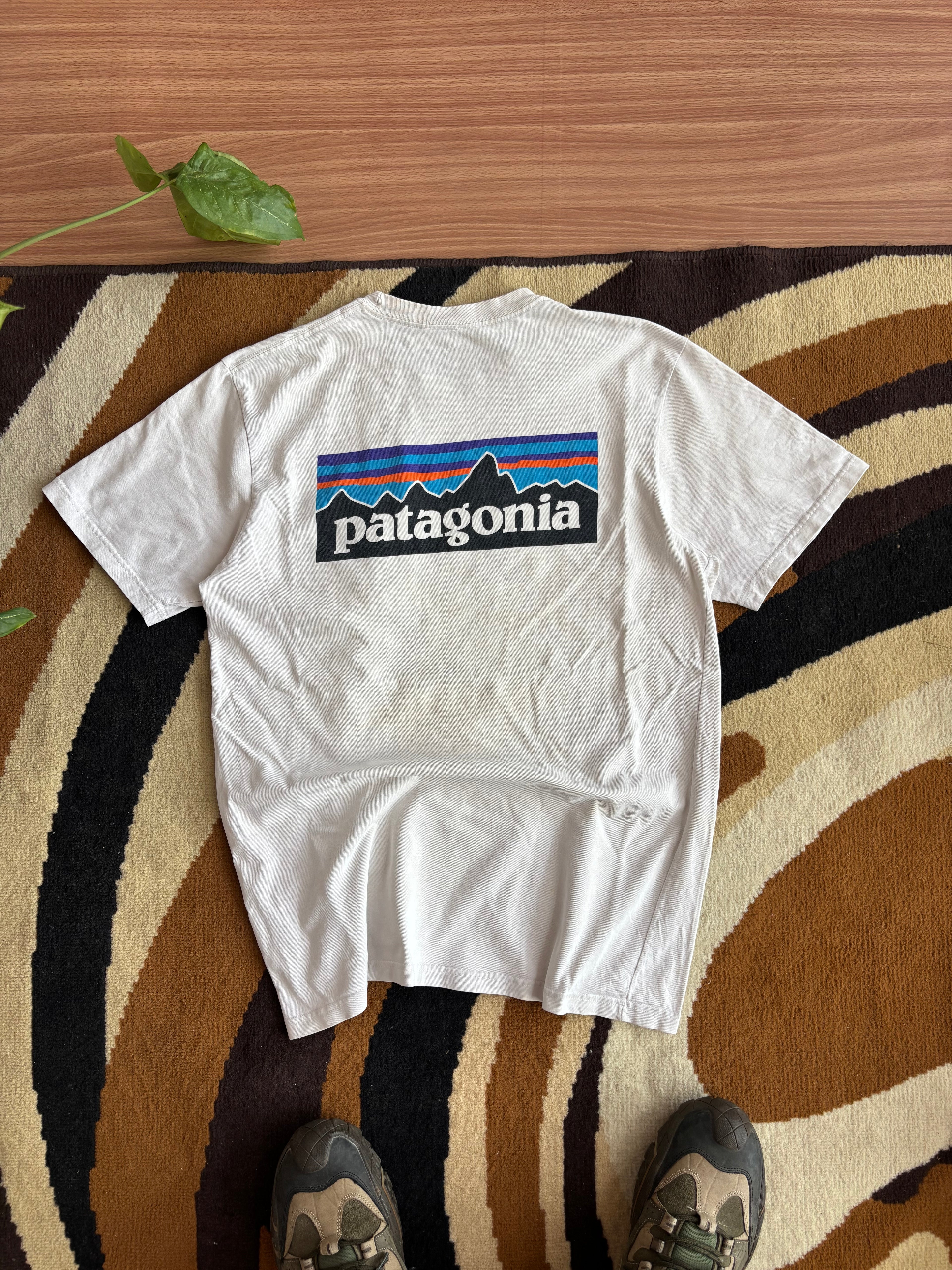 Patagonia tee