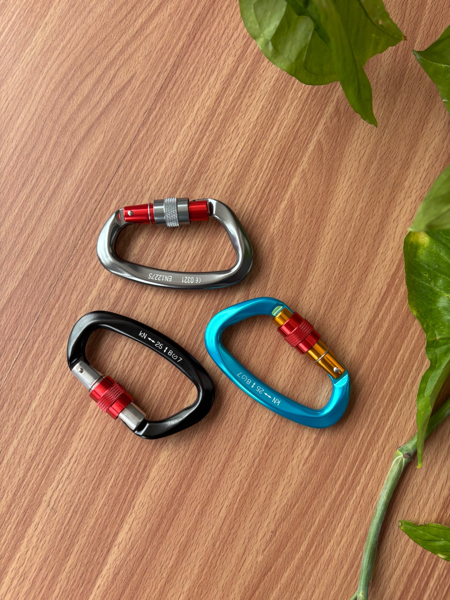 Carabiners