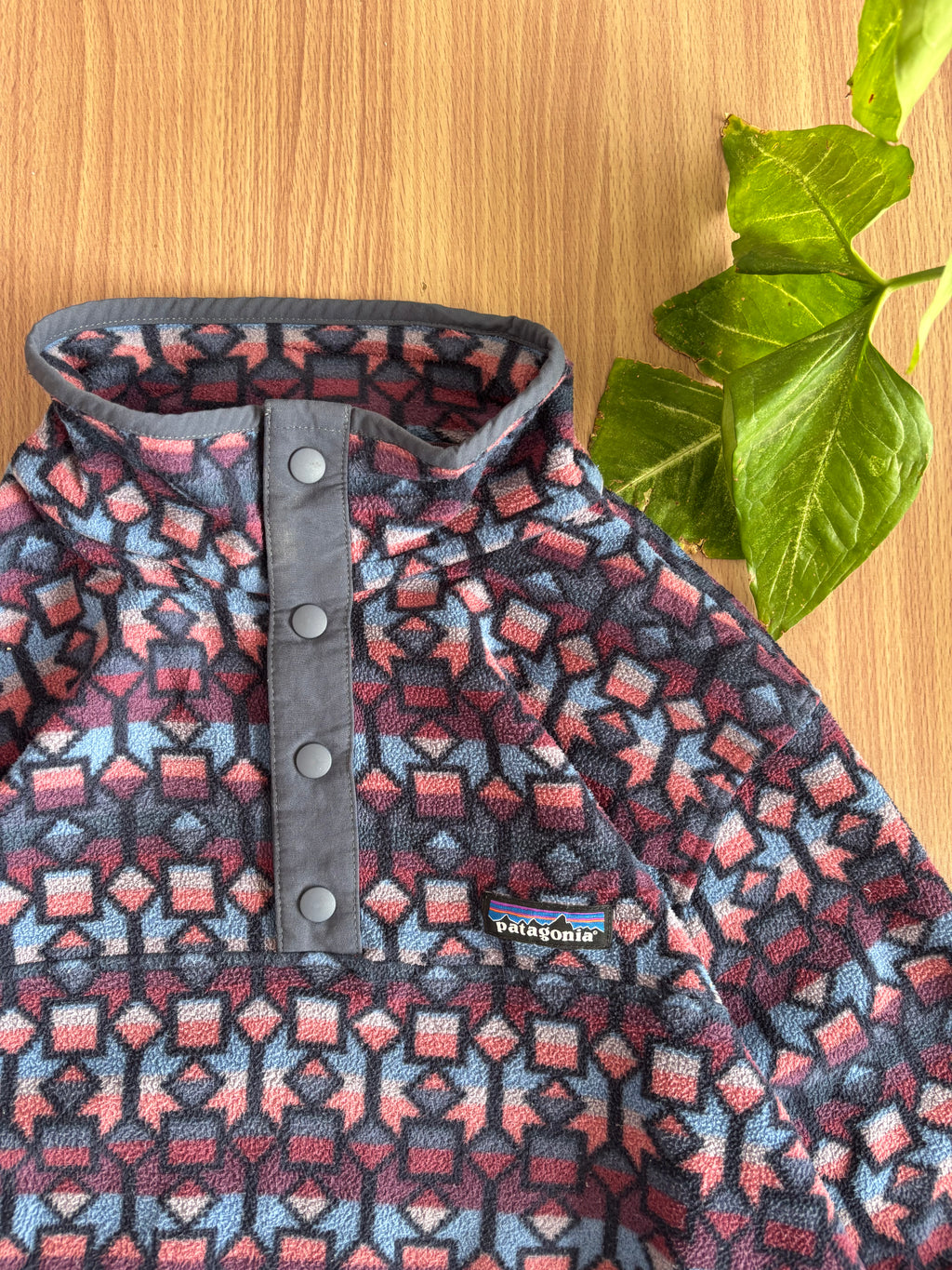 1995 Patagonia Abnormal print fleece