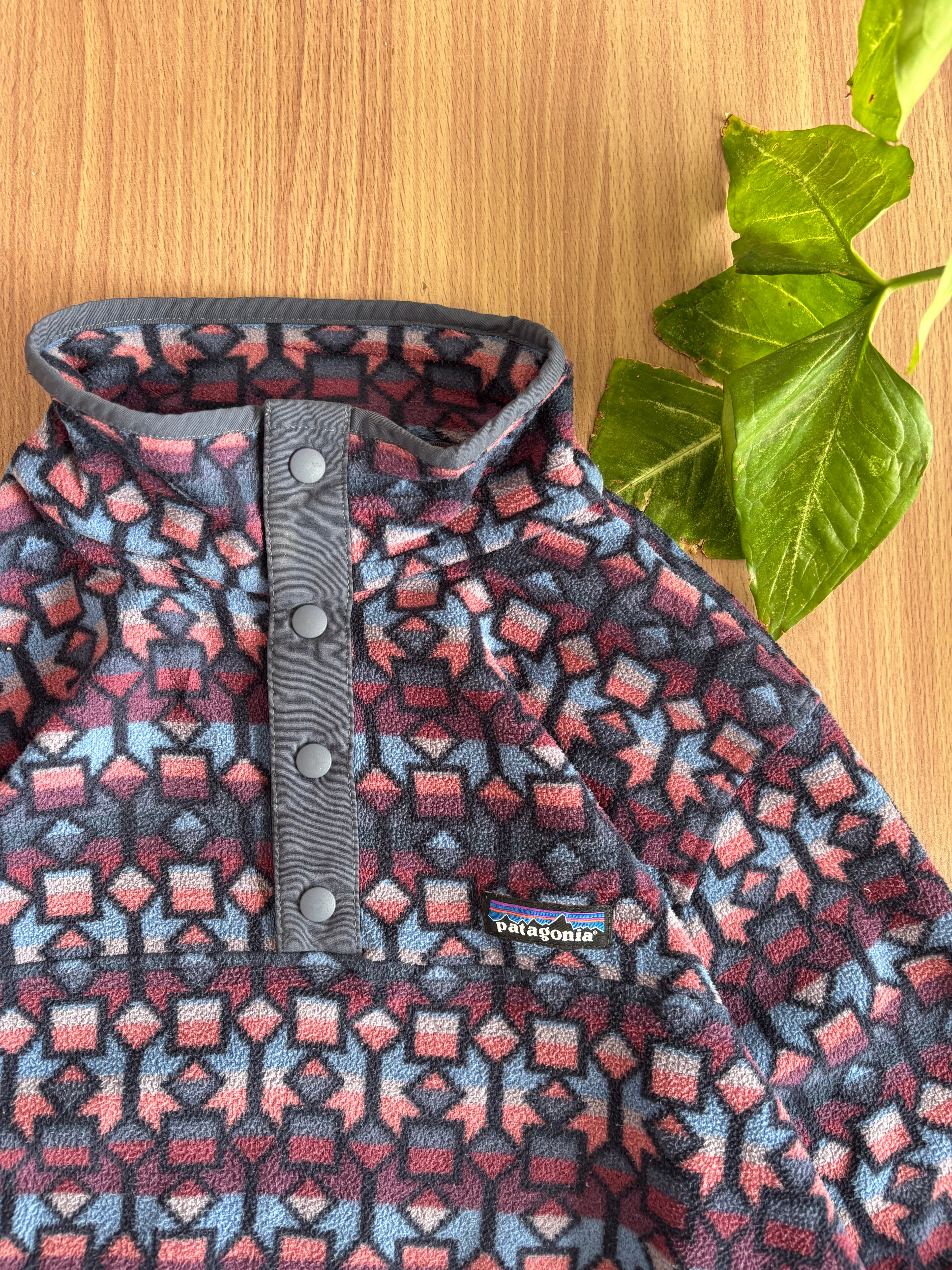 1995 Patagonia Abnormal print fleece