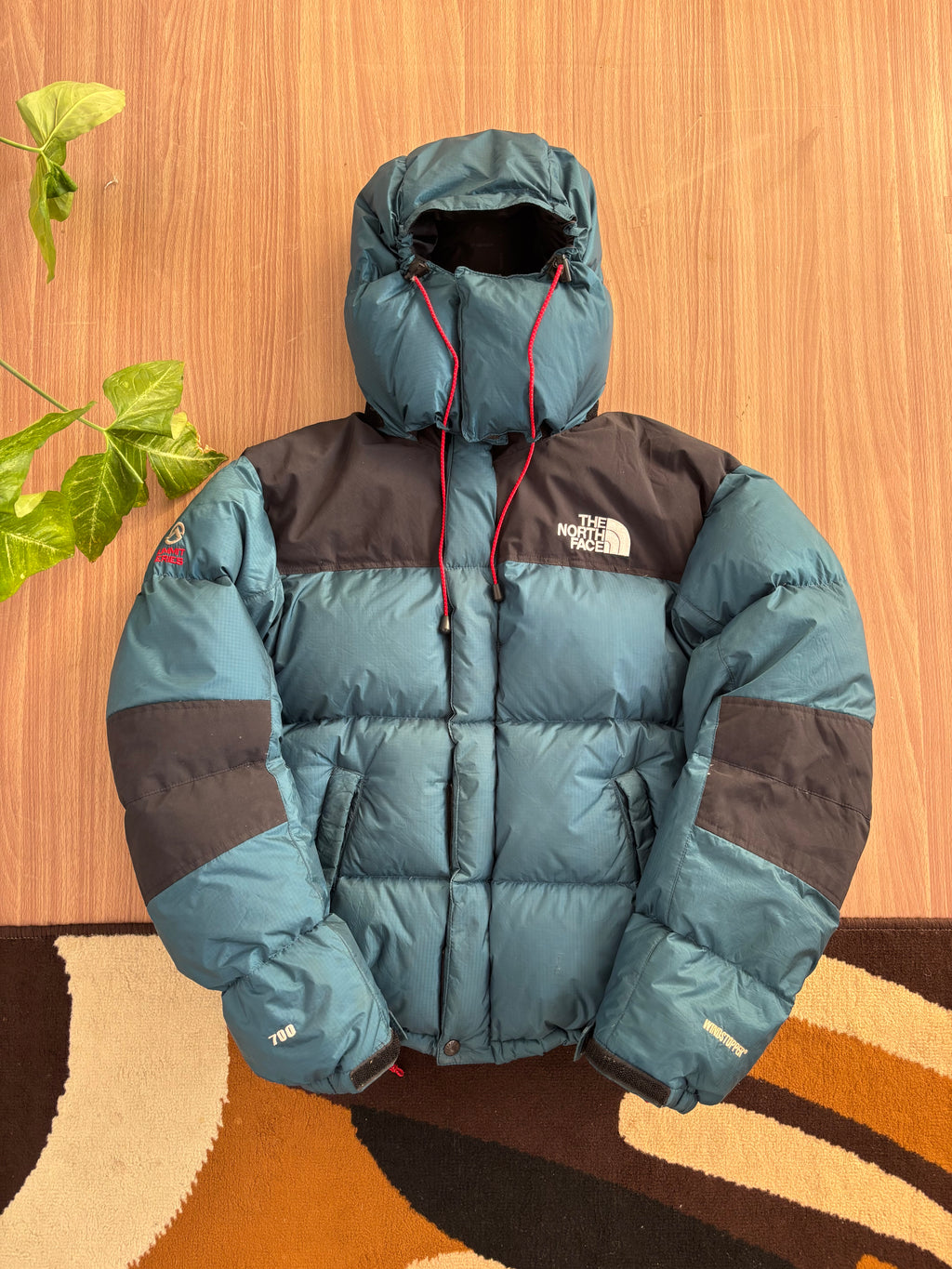 TNF 700 puffer Goose down windstopper