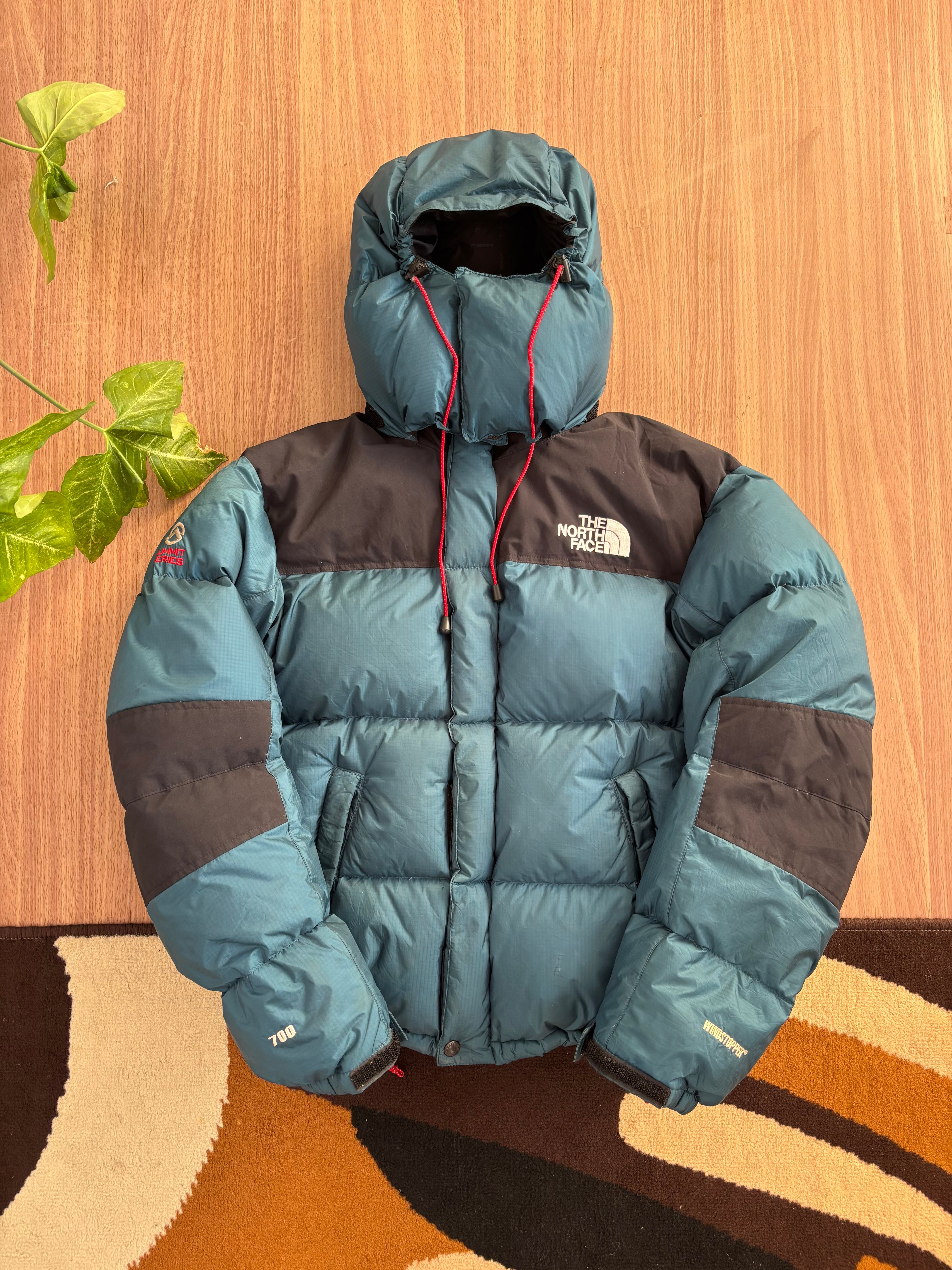 TNF 700 puffer Goose down windstopper
