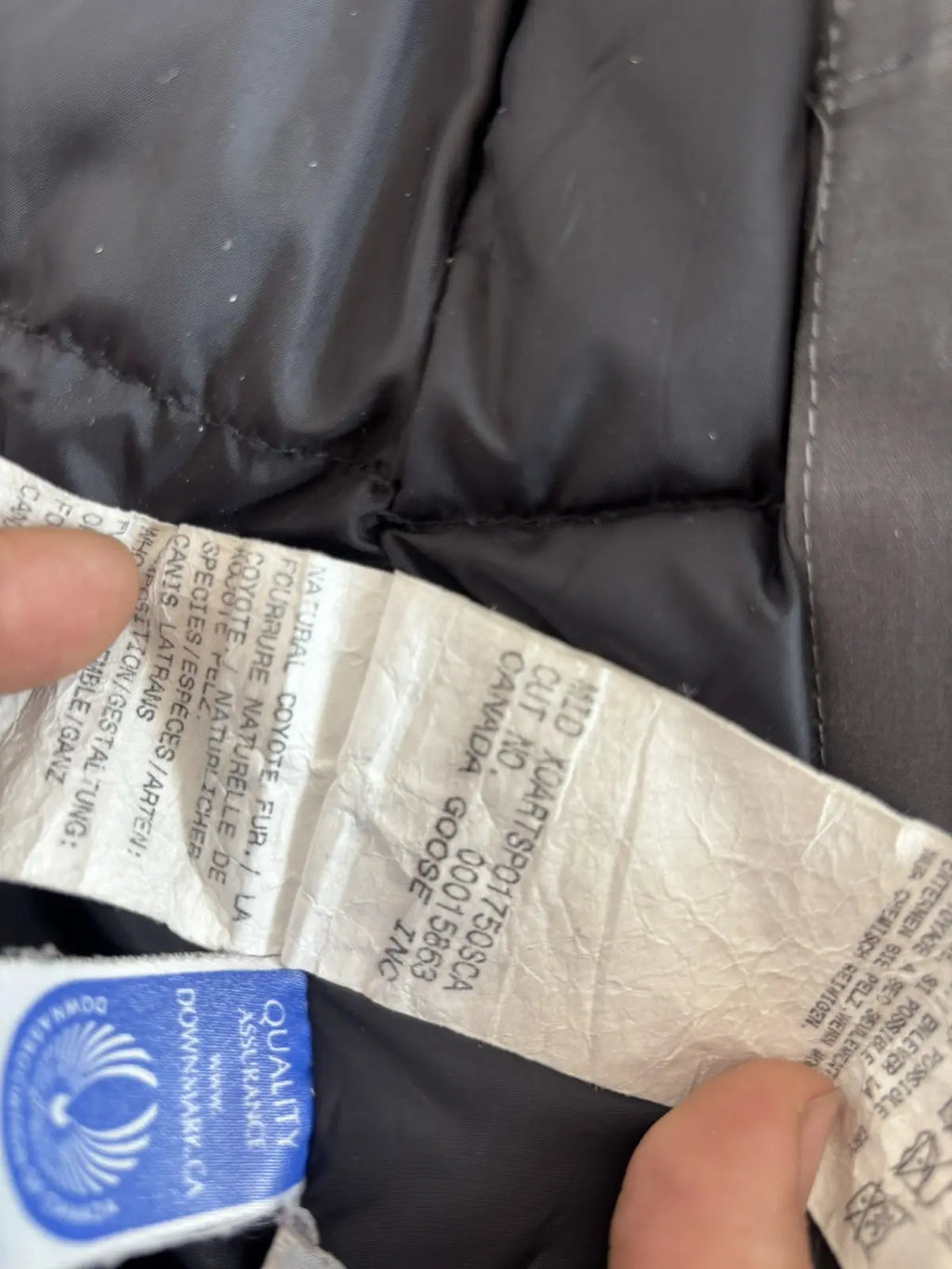 Canada Goose Kensington Parka Graphite