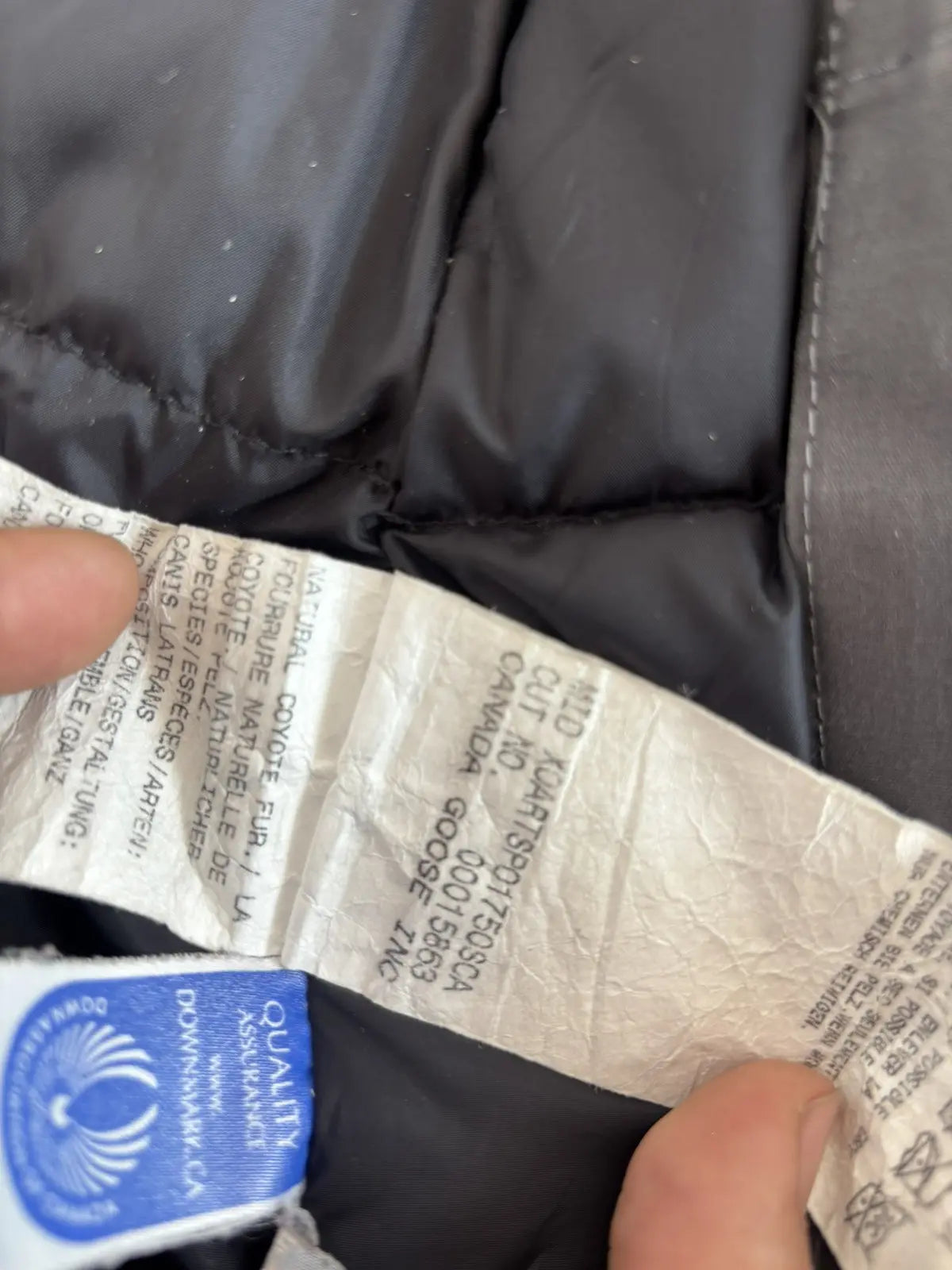 Canada Goose Kensington Parka Graphite