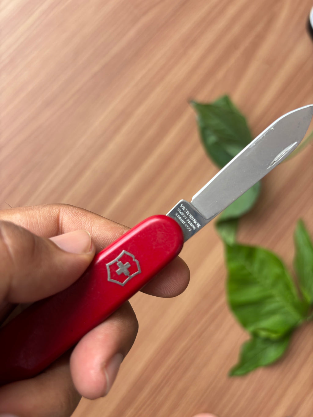 Victorinox Waiter OG knife
