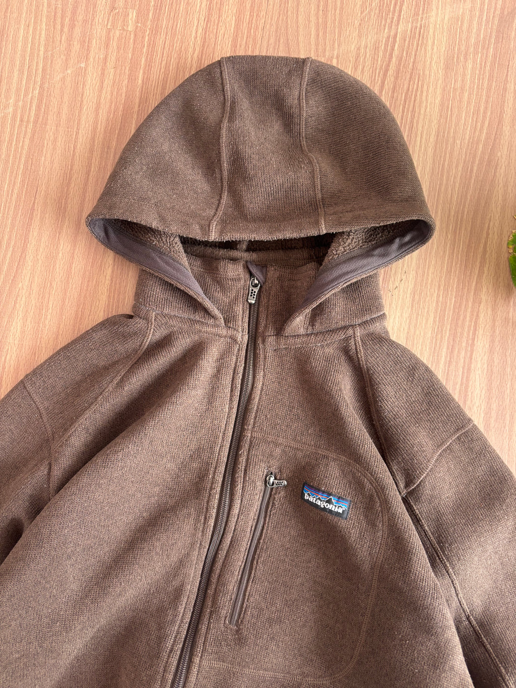 Fall 07 Patagonia fleece Hoody
