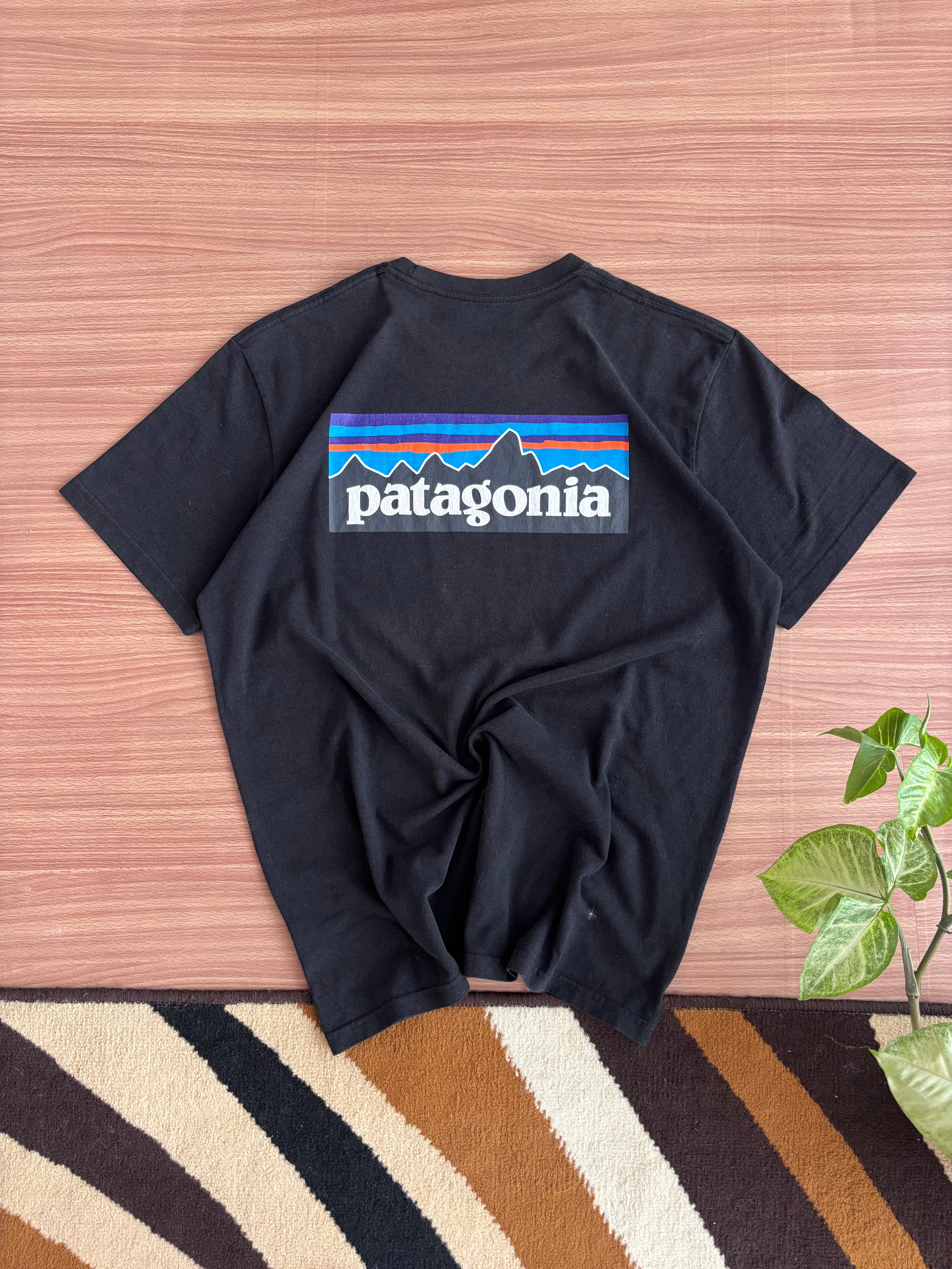 patagonia tee (M-L)