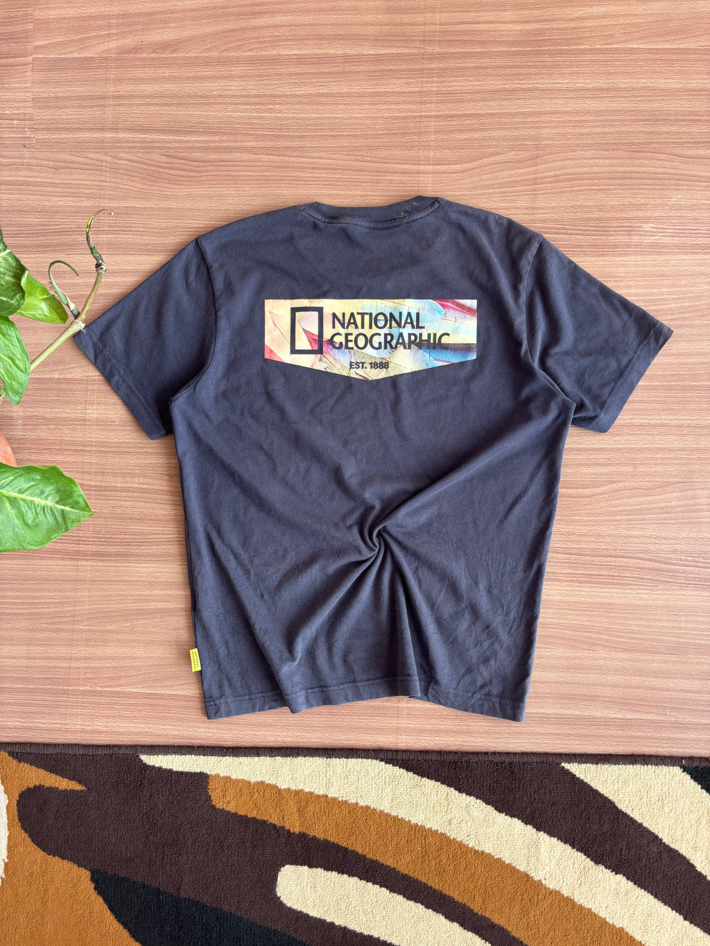 Nat Geo tee (L)