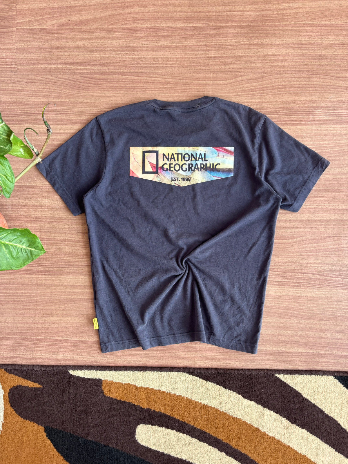 Nat Geo tee (L)