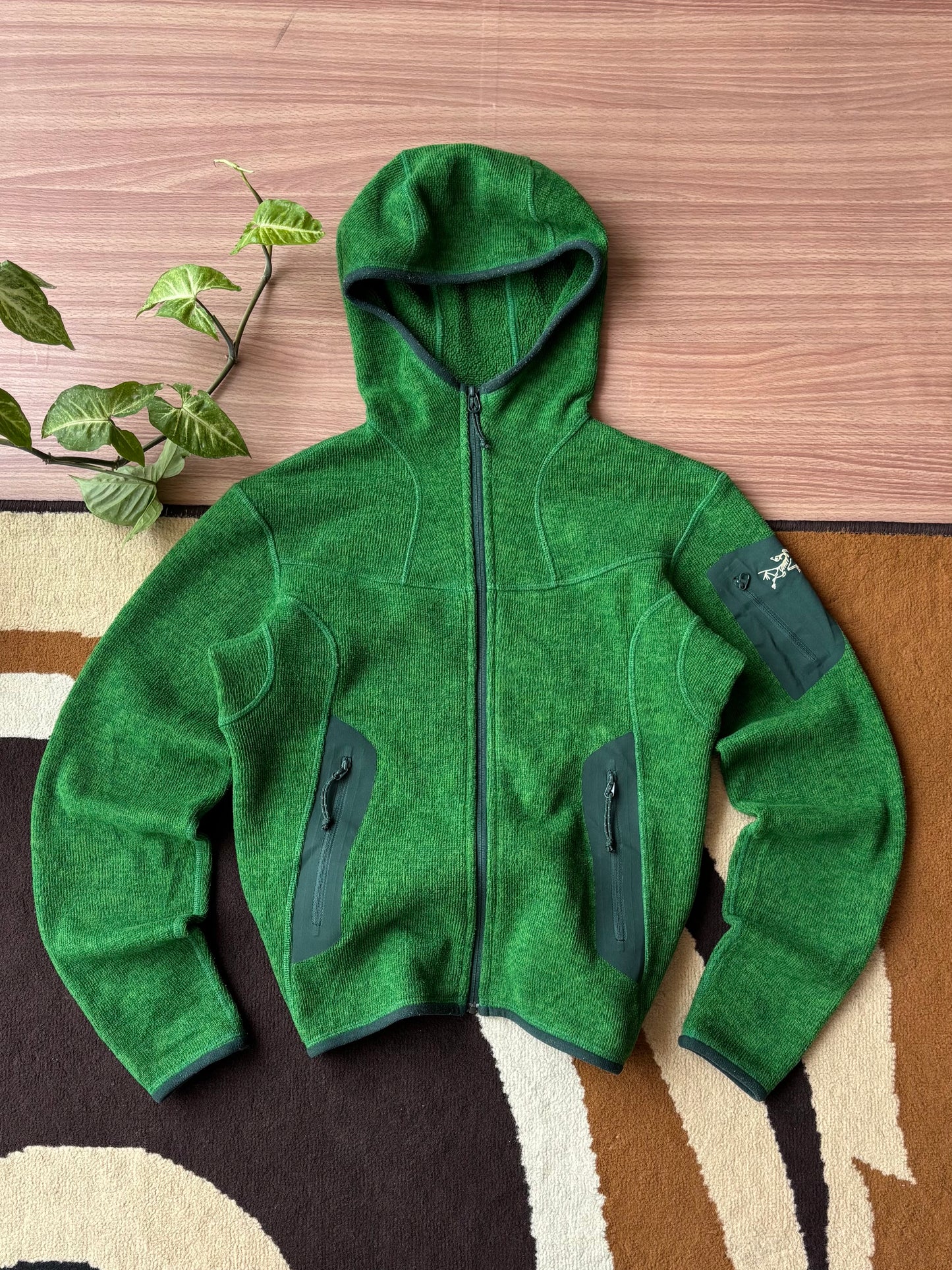 Arc'teryx Hooded Fleece