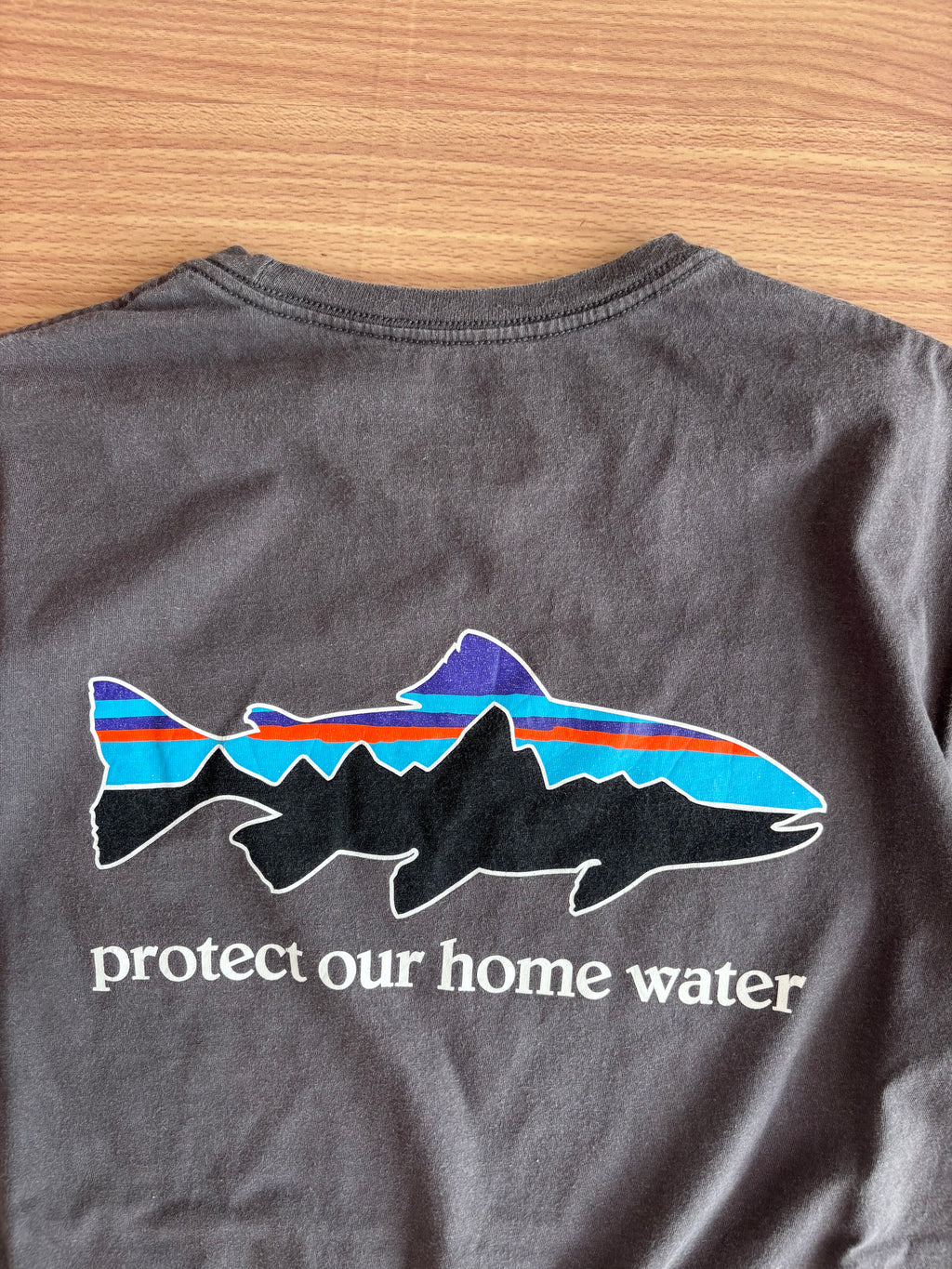 Patagonia tee