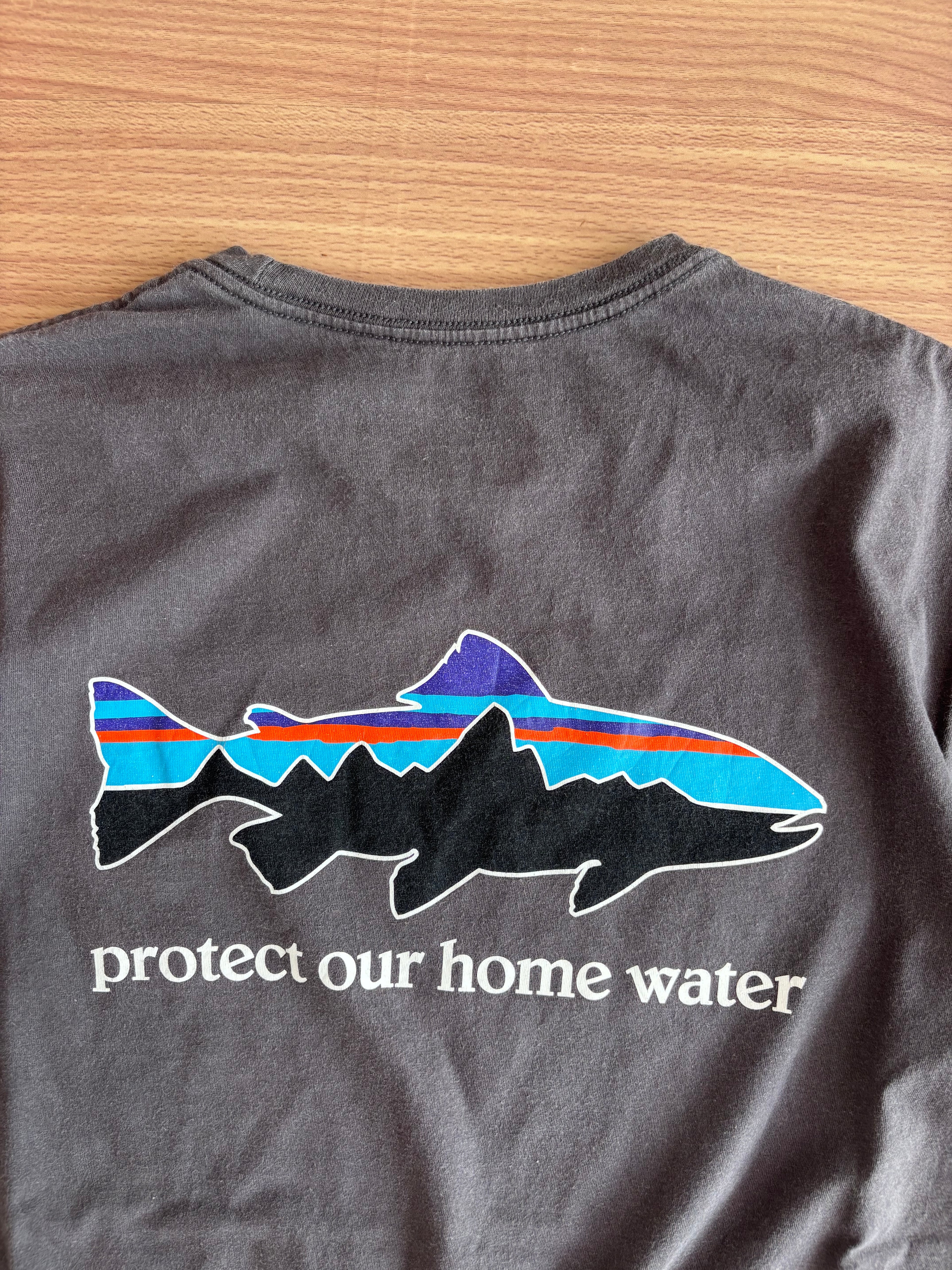 Patagonia tee