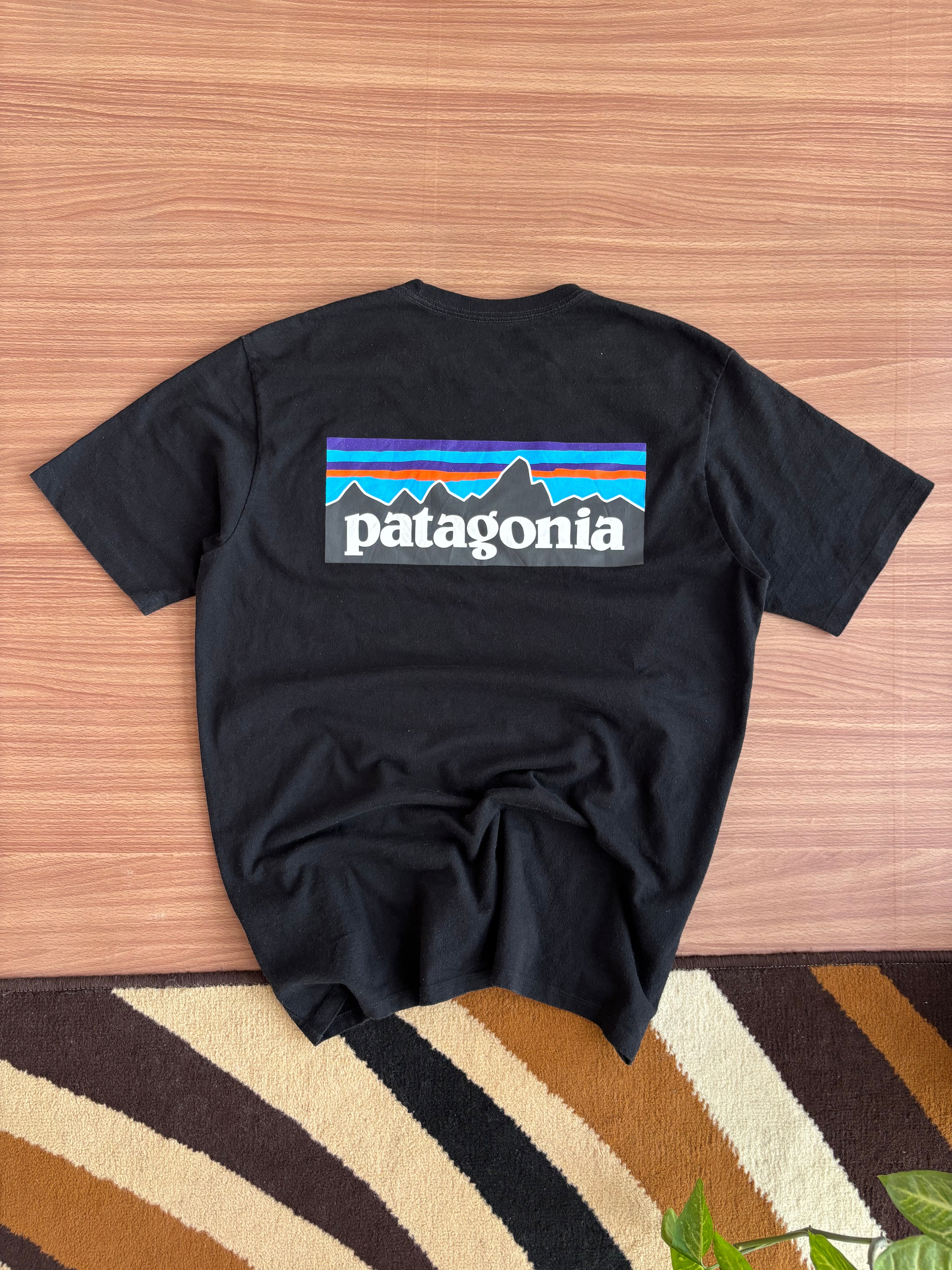 patagonia tee (M)