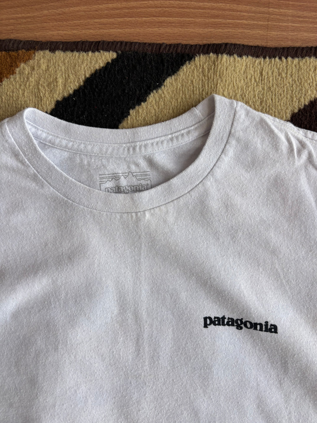Patagonia tee