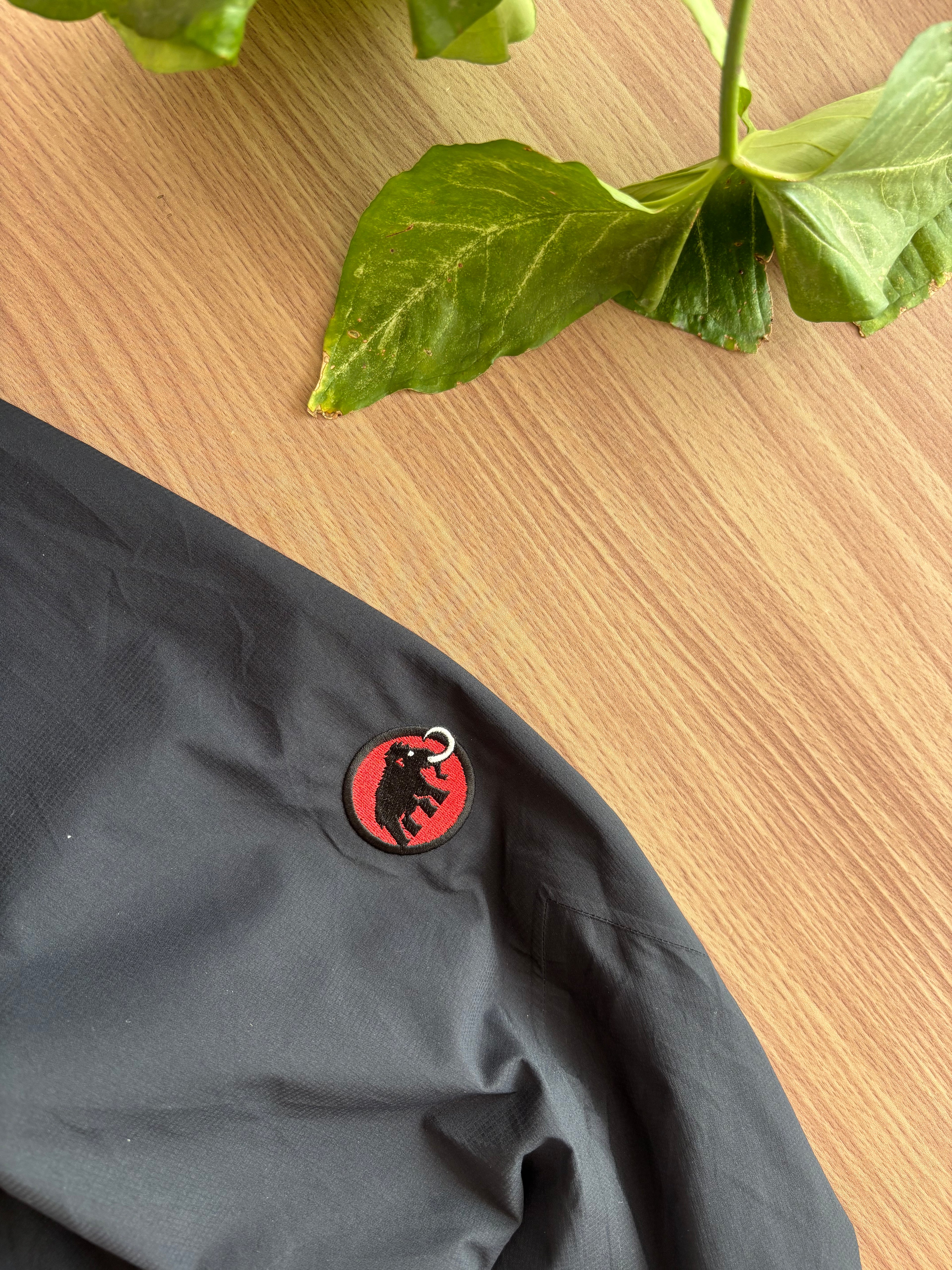 Mammut DryTech shell